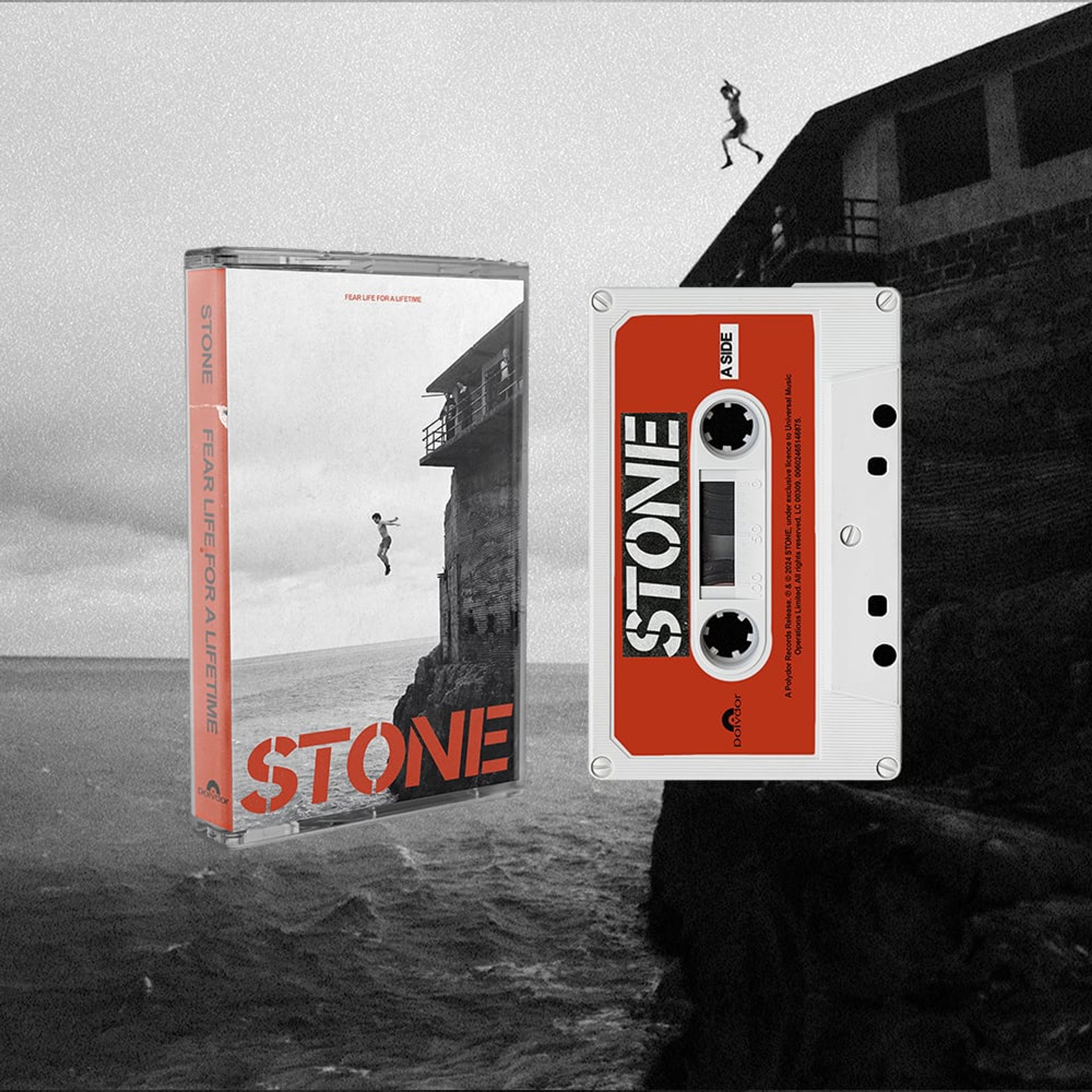 Fear Life For A Lifetime on cassette