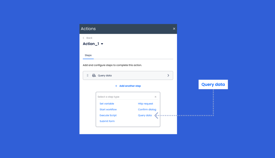 Query Data Form Action.png