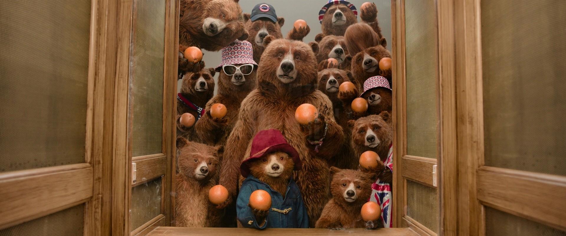 Paddington in Peru