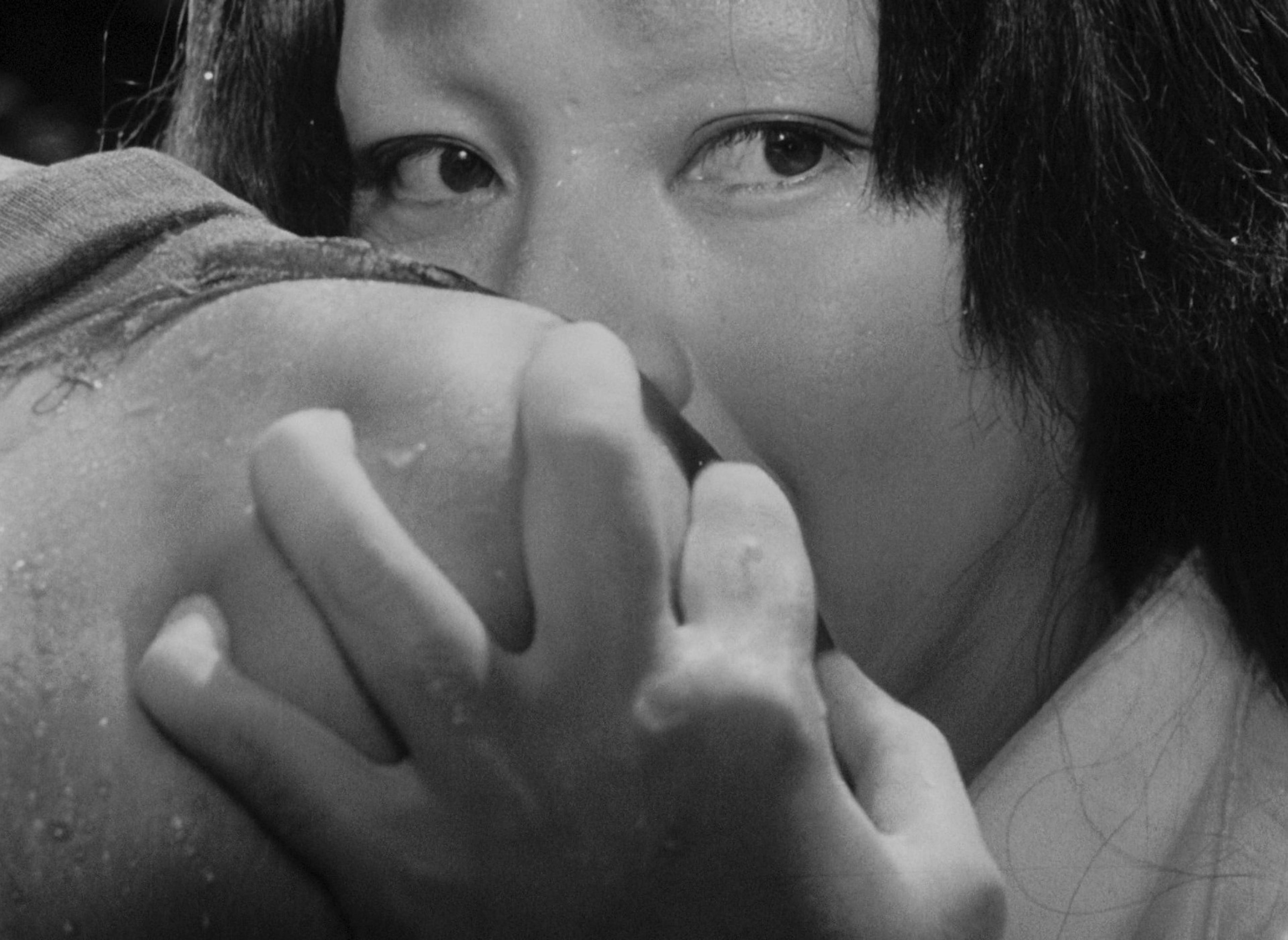 Rashomon