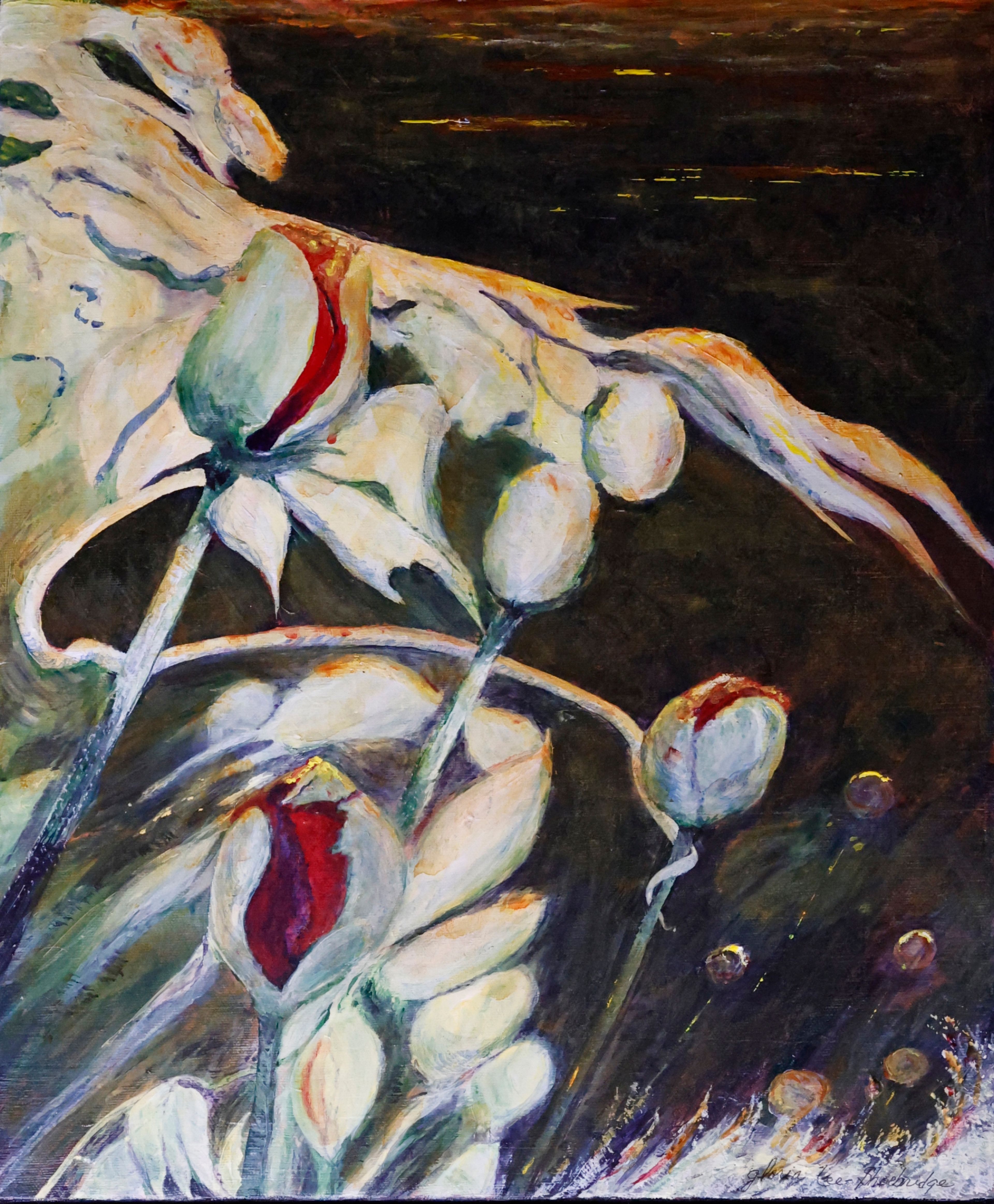 Night Poppies, 2026