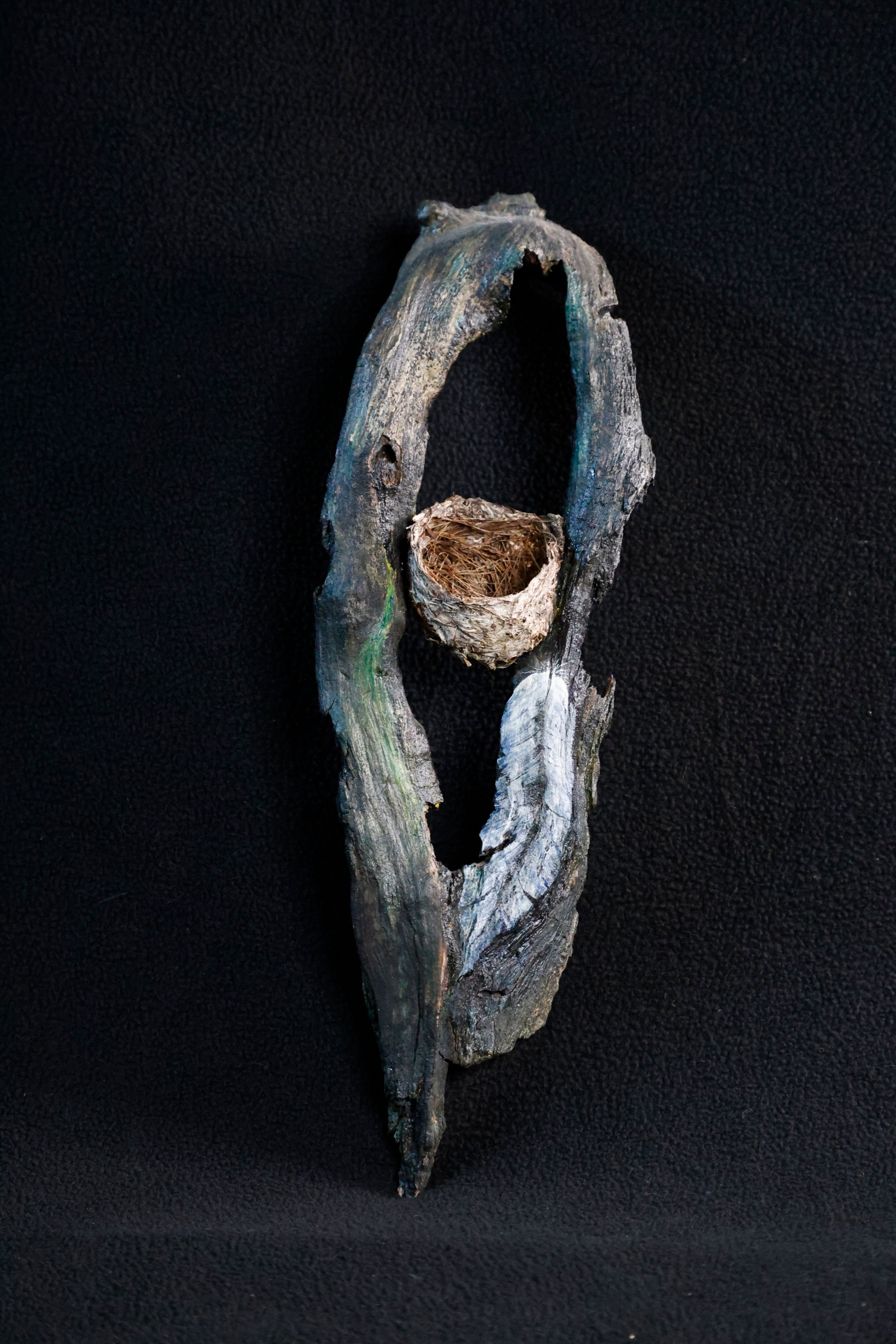 Portrait of a Nest, 2026