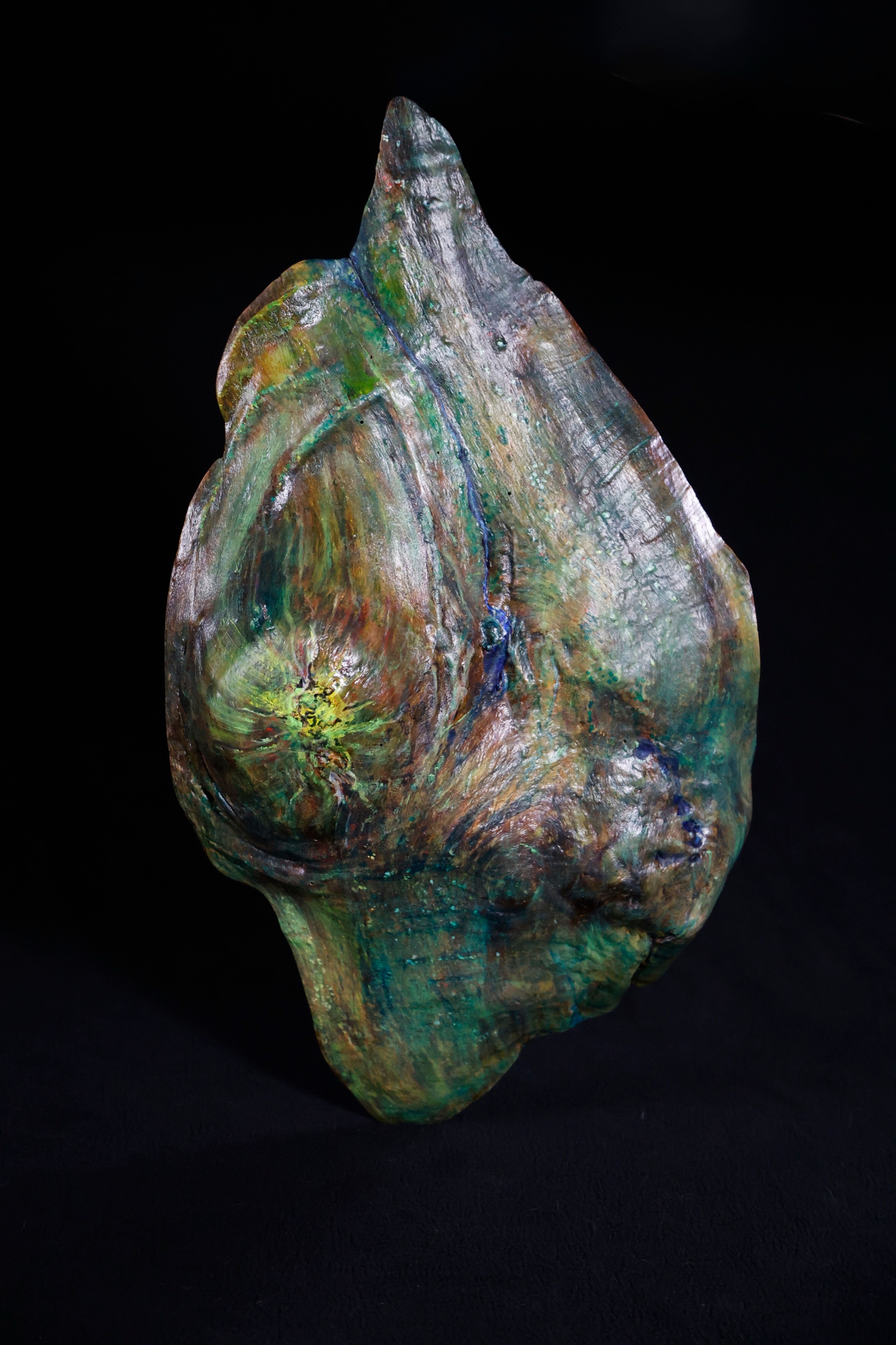 Volcanic Life, 2026