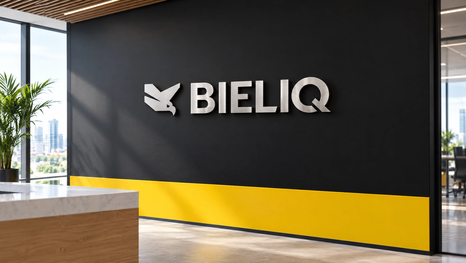 BIELIQ, widok 6