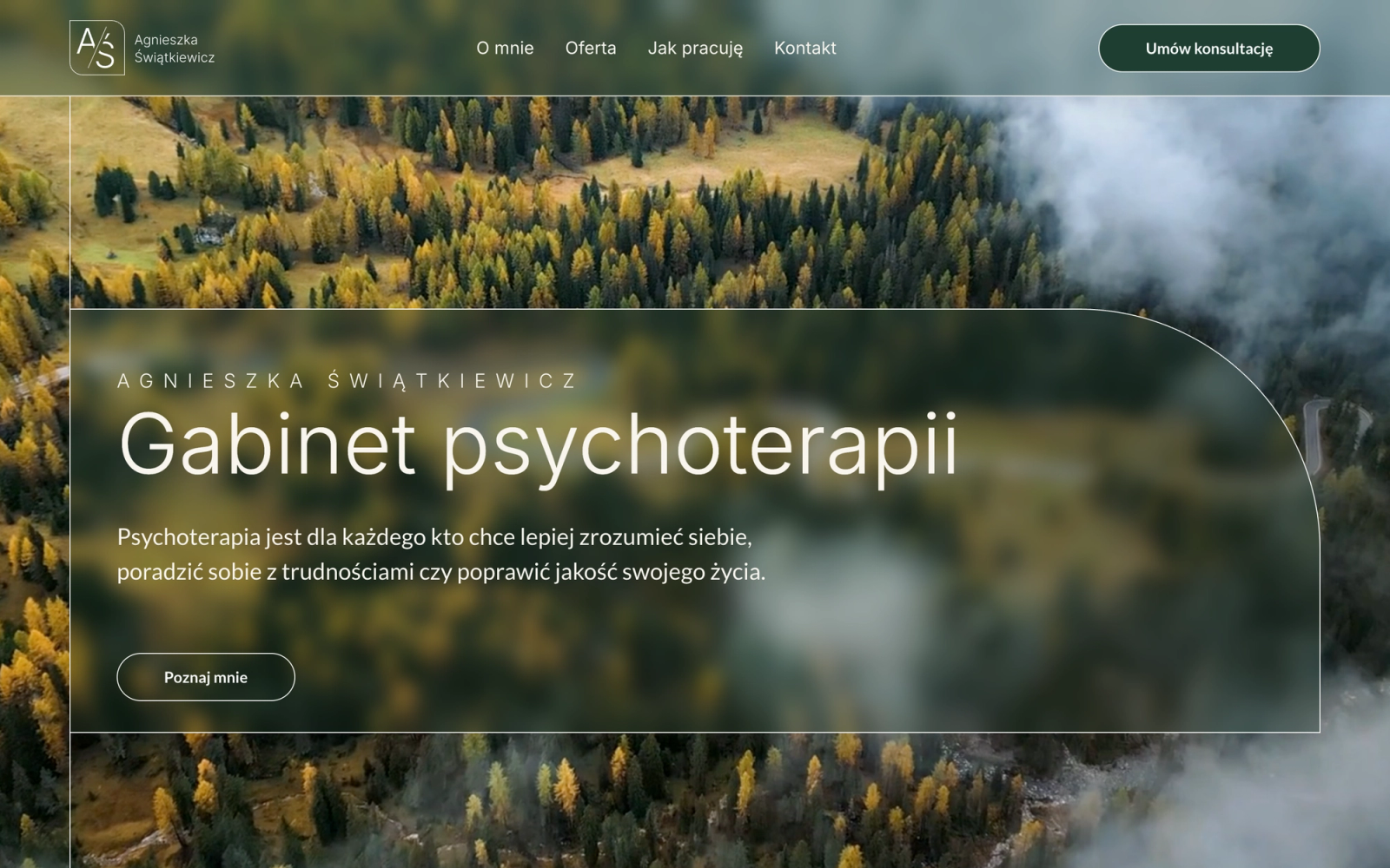 Psychoterapia Świątkiewicz — widok 1