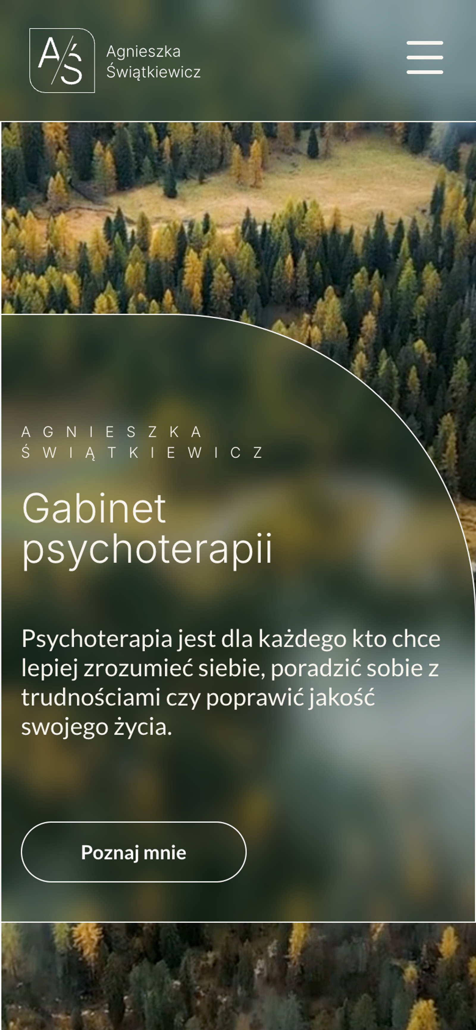 Psychoterapia Świątkiewicz — widok 2