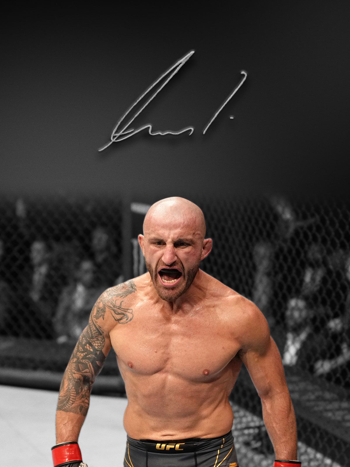 ALEXANDER VOLKANOVSKI