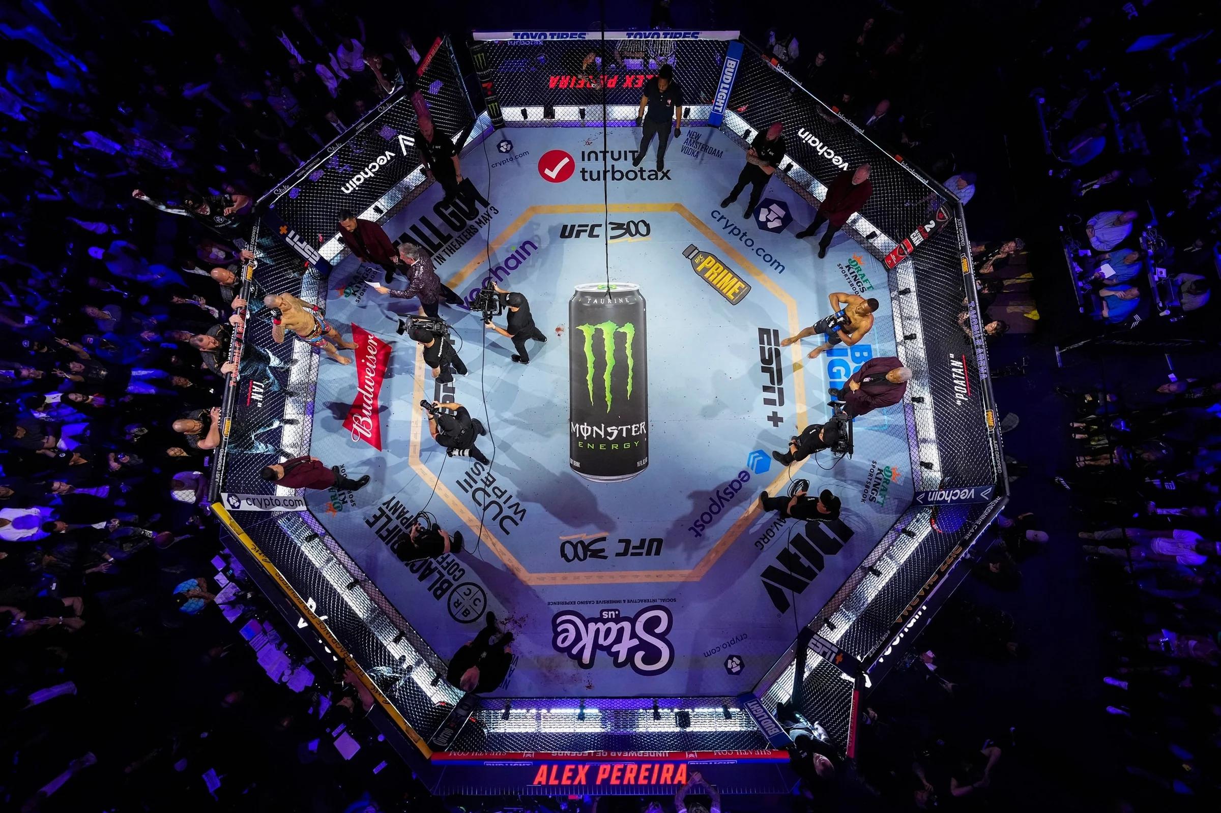 The History of the Octagon: From Back Garden Brawls to PPV Events