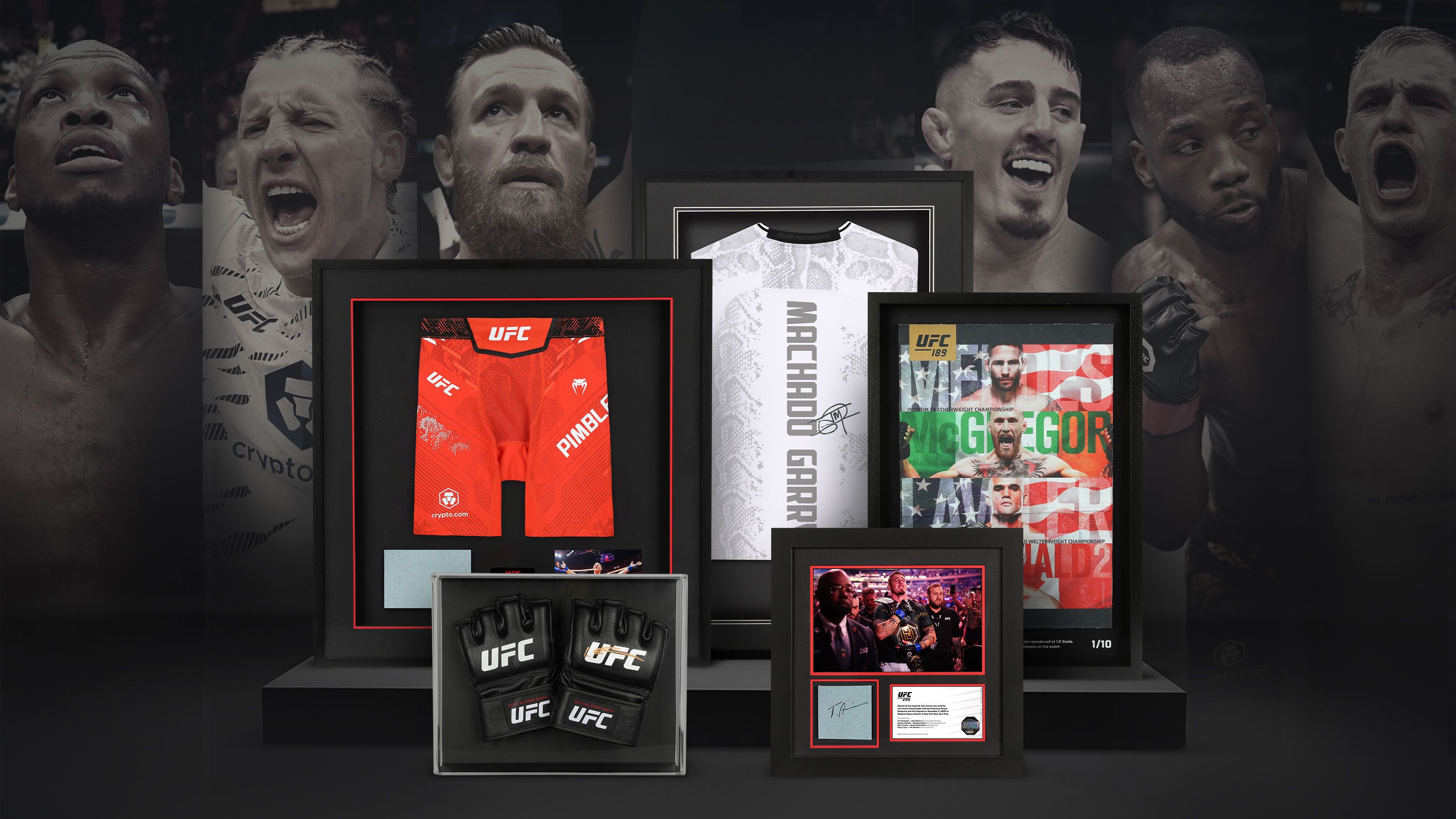 Born for the Octagon: The Best British & Irish Fighters