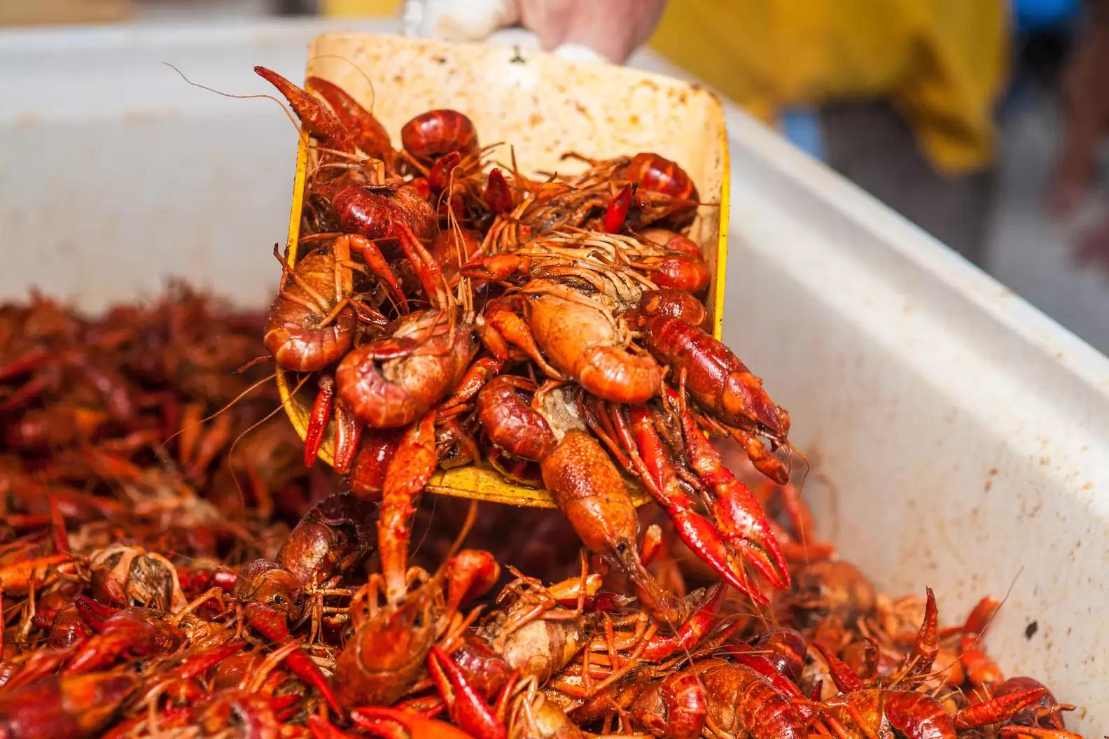 Crawfish and Shrimp Seafood Boil