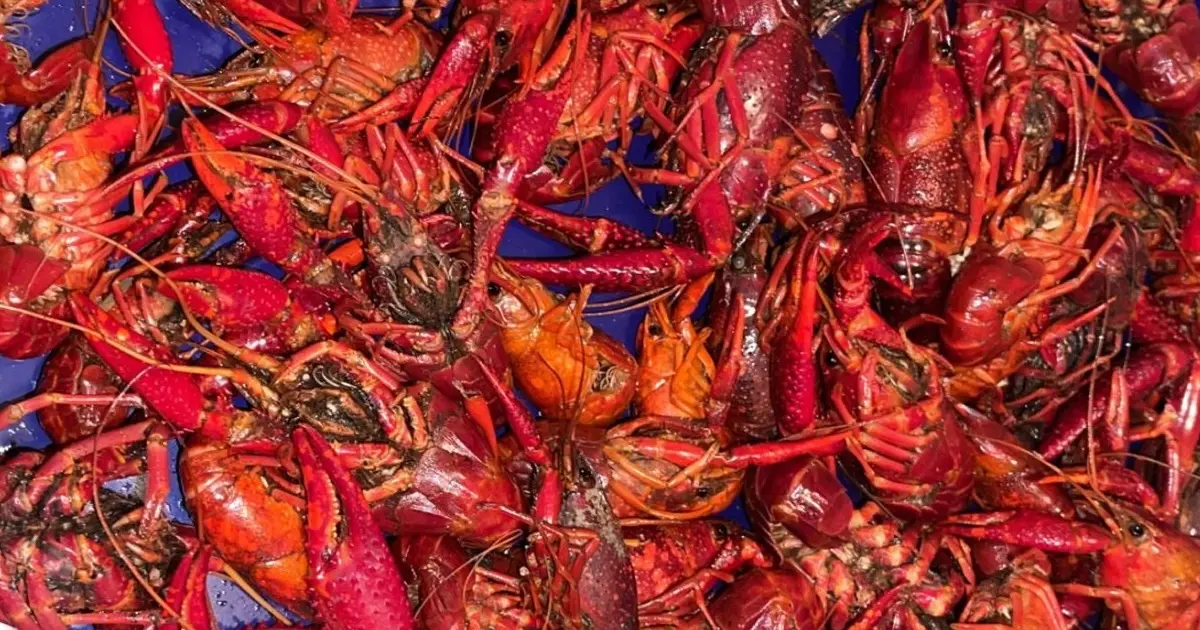 Crawfish / Shrimp Broil - Hou-Dat