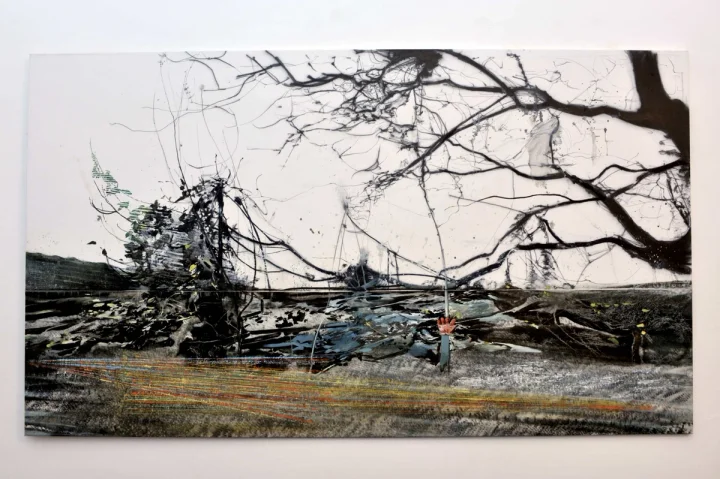 Bare tree branches over a dark, layered landscape.
