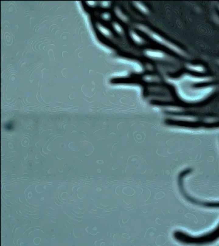 Cropped black contours against a muted blue-grey ground.
