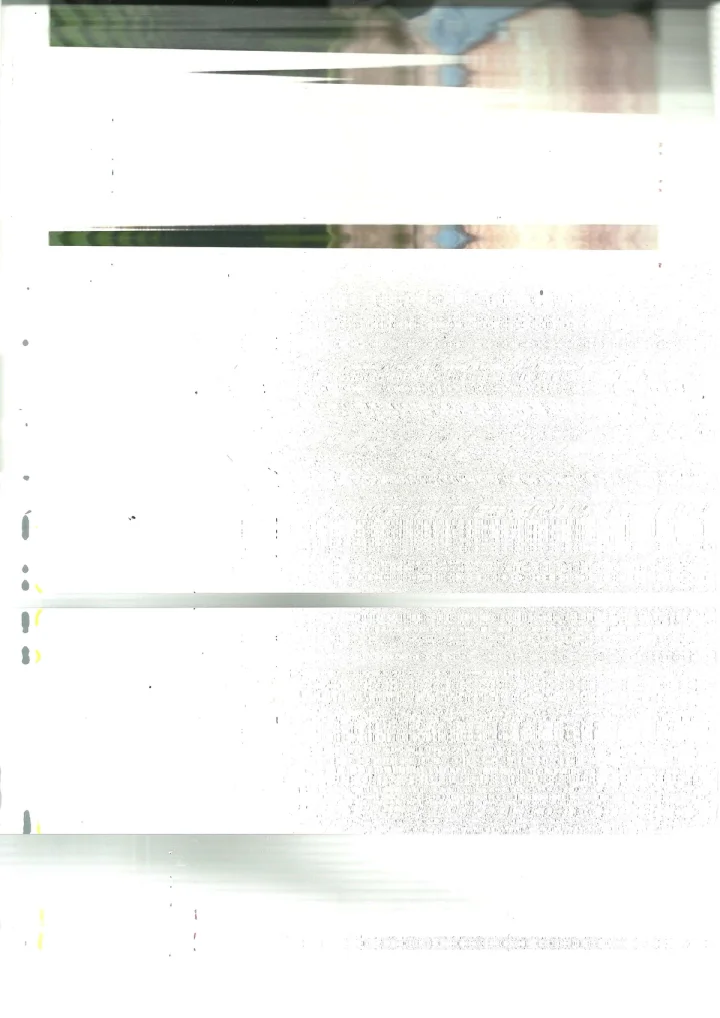 Minimal horizontal grey and black streaks on white.