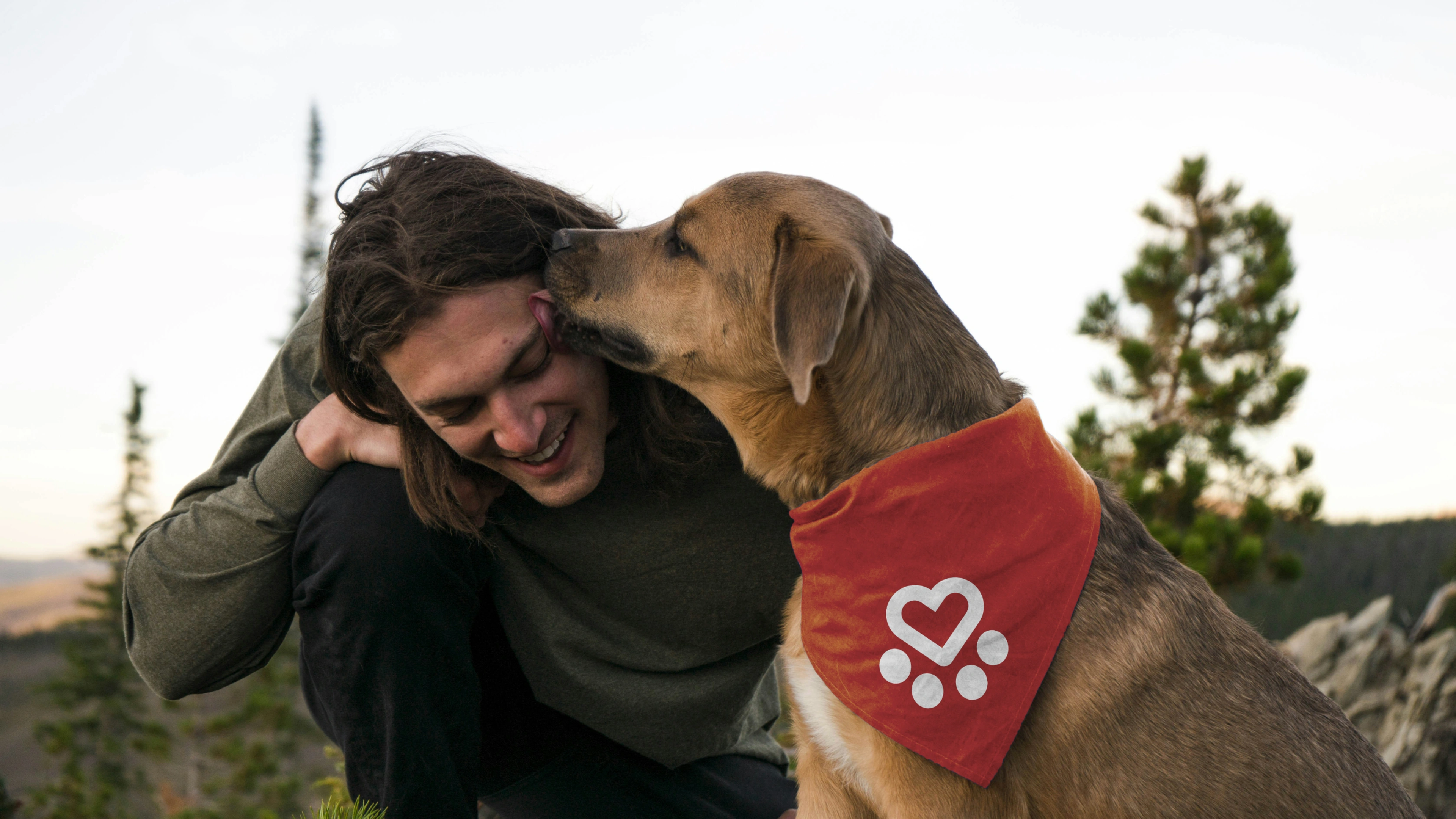 Spanish Stray Dogs logo on a dog's bandana