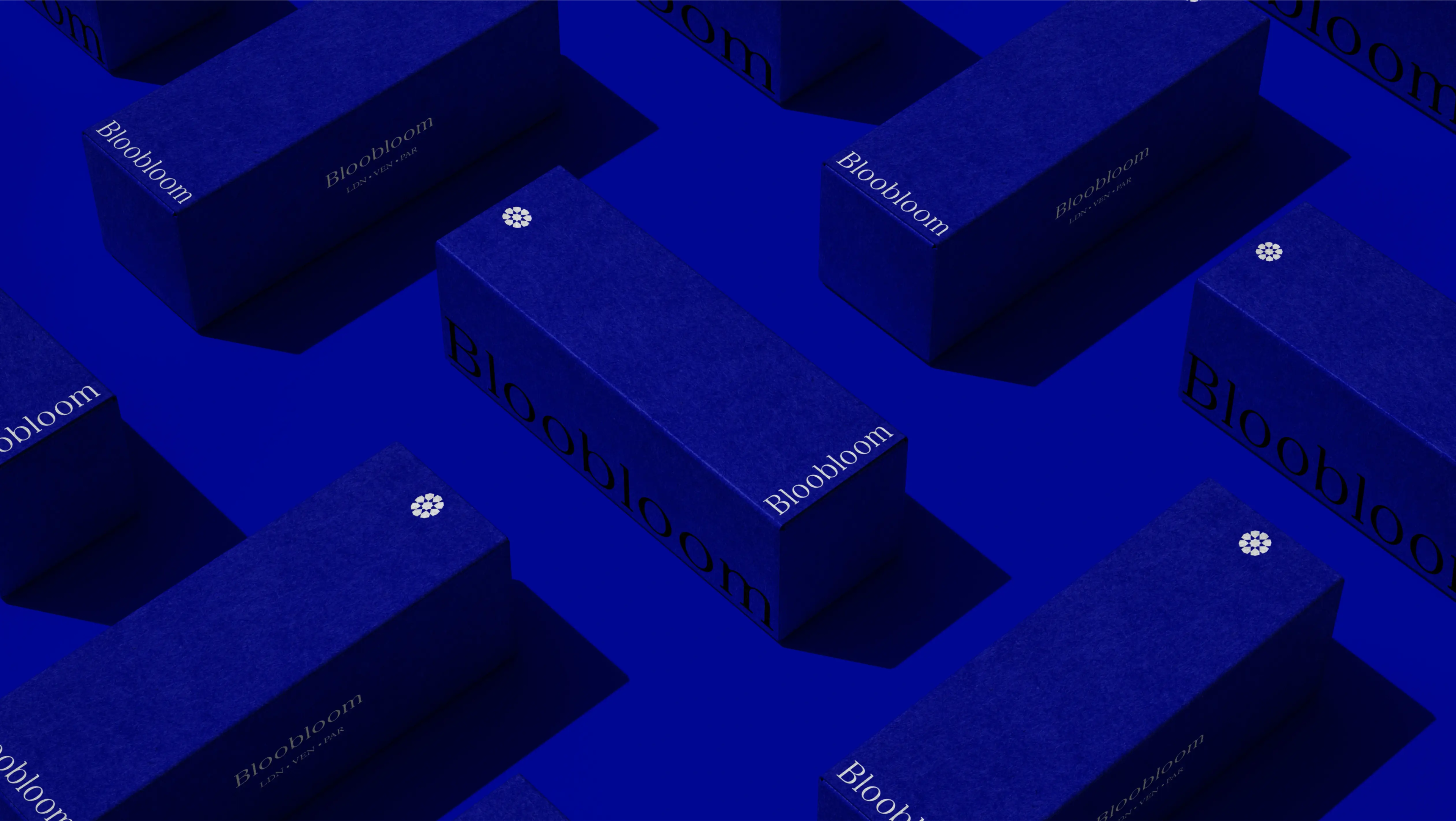 Bloobloom glasses blue packaging design by Bodkin Studio