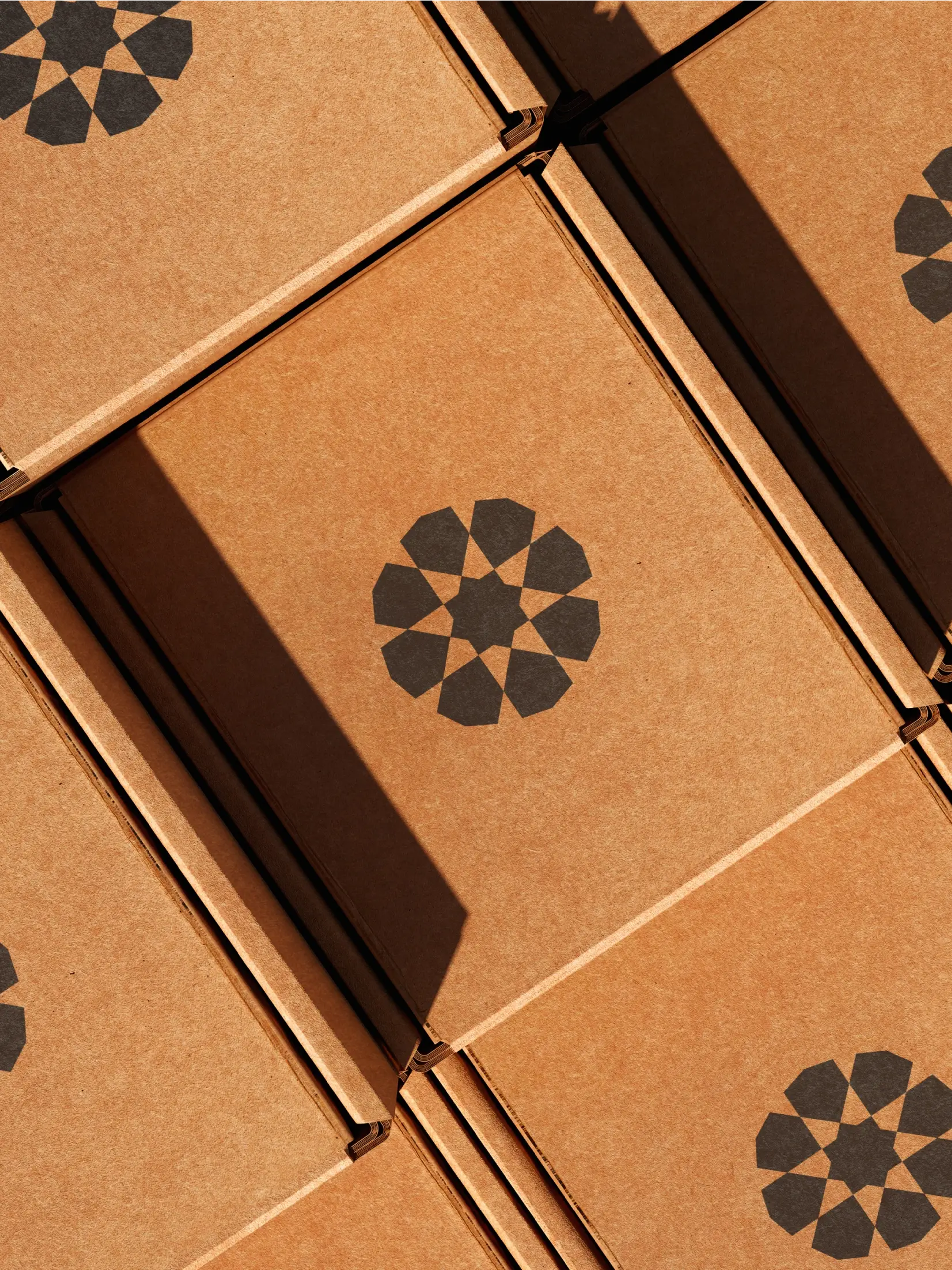 Bloobloom cardboard box packaging by Bodkin Studio