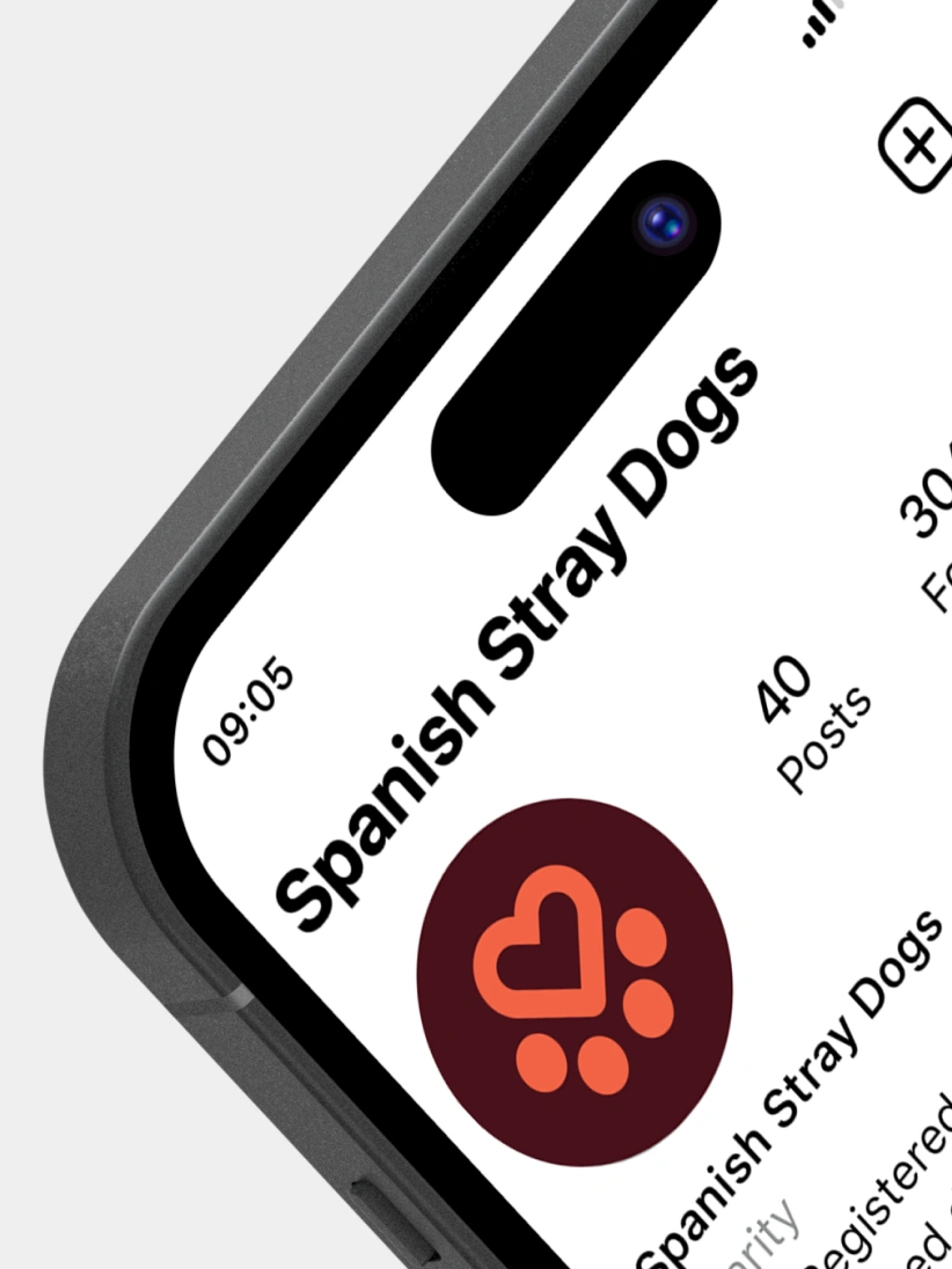 Spanish Stray Dogs logo Instagram profile picture