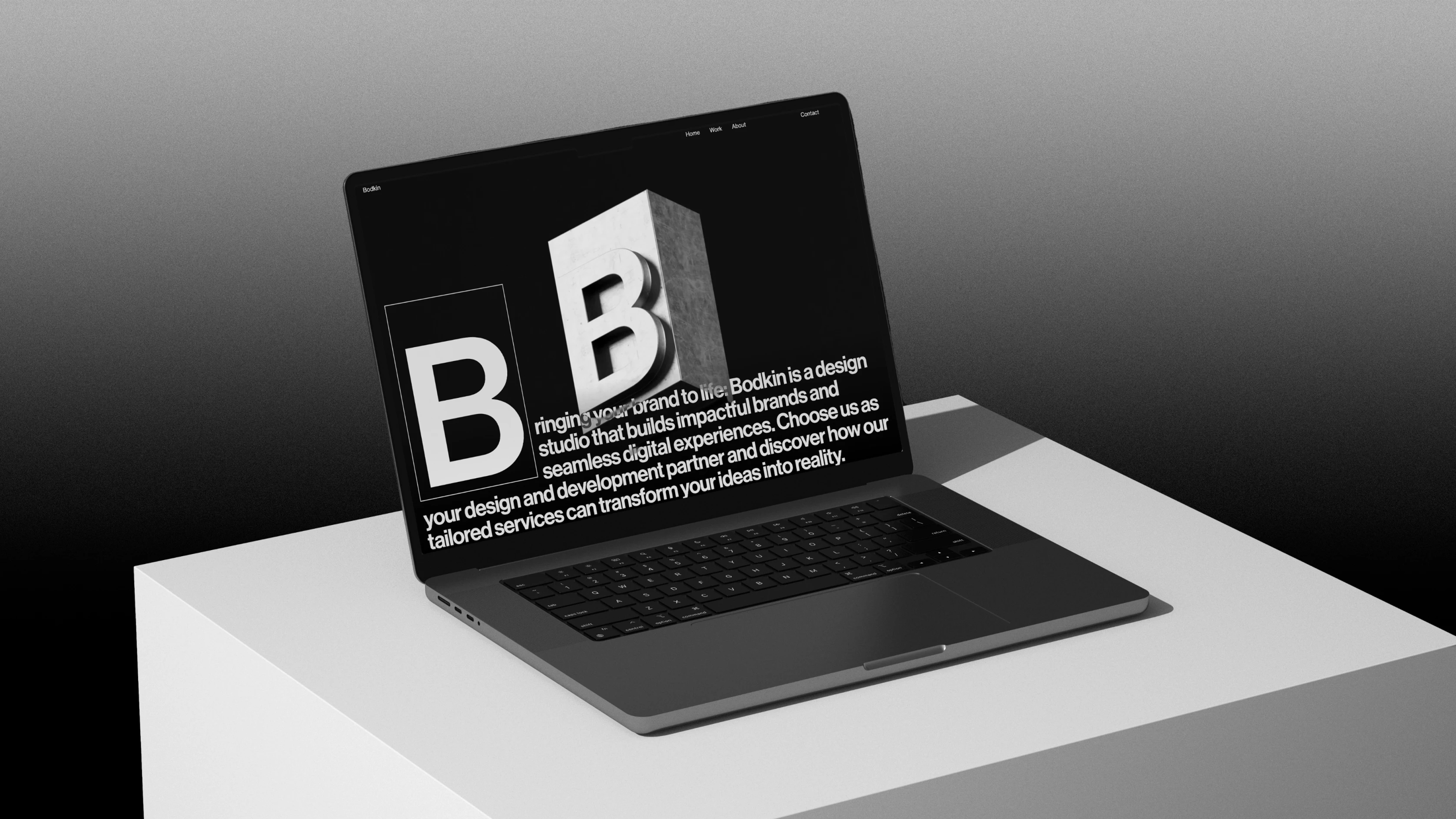Bodkin website design