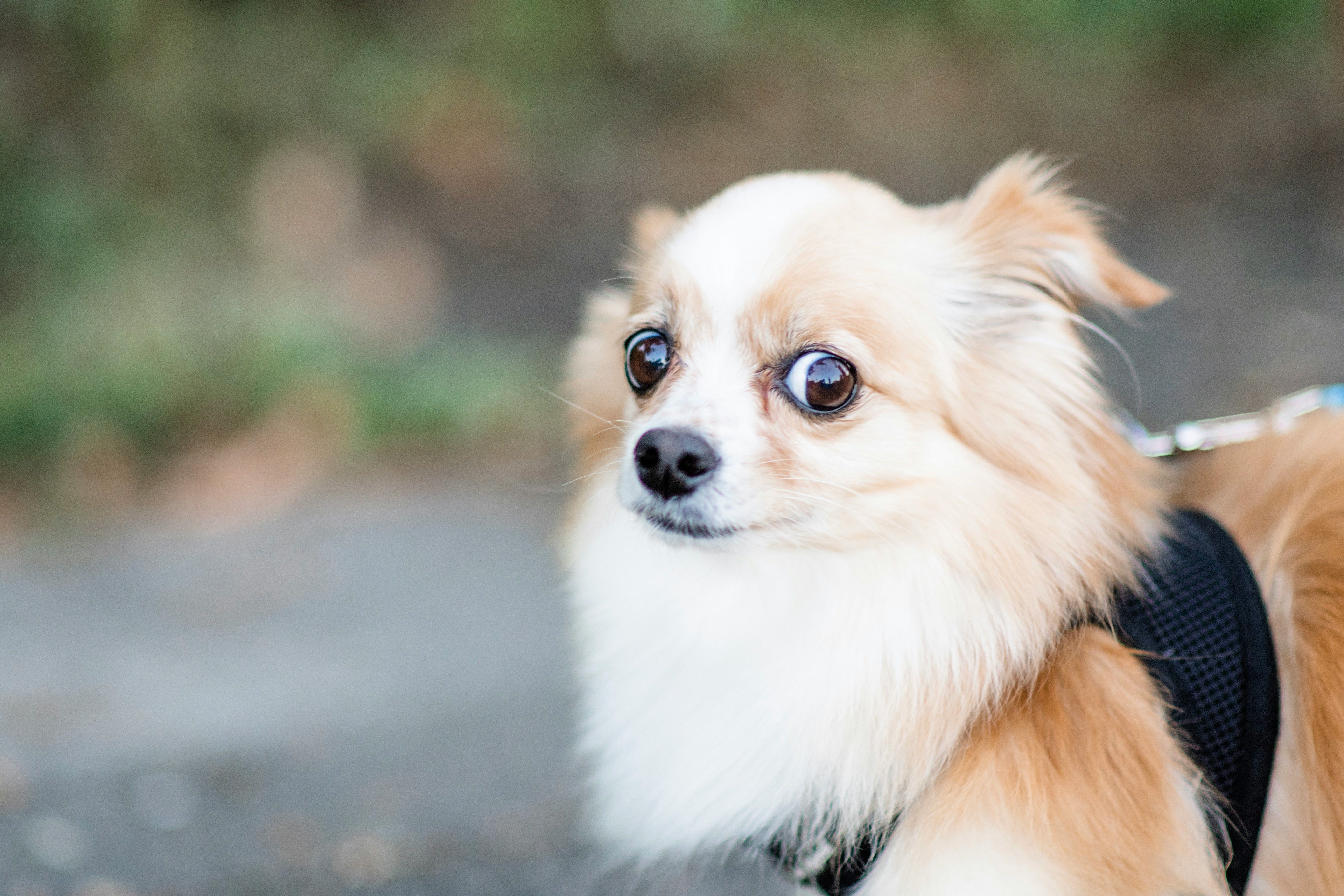 Confused by Therapy Types? Here’s What Different Modalities Mean (Without the Jargon)
