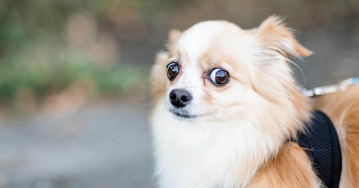Confused by Therapy Types? Here’s What Different Modalities Mean (Without the Jargon)