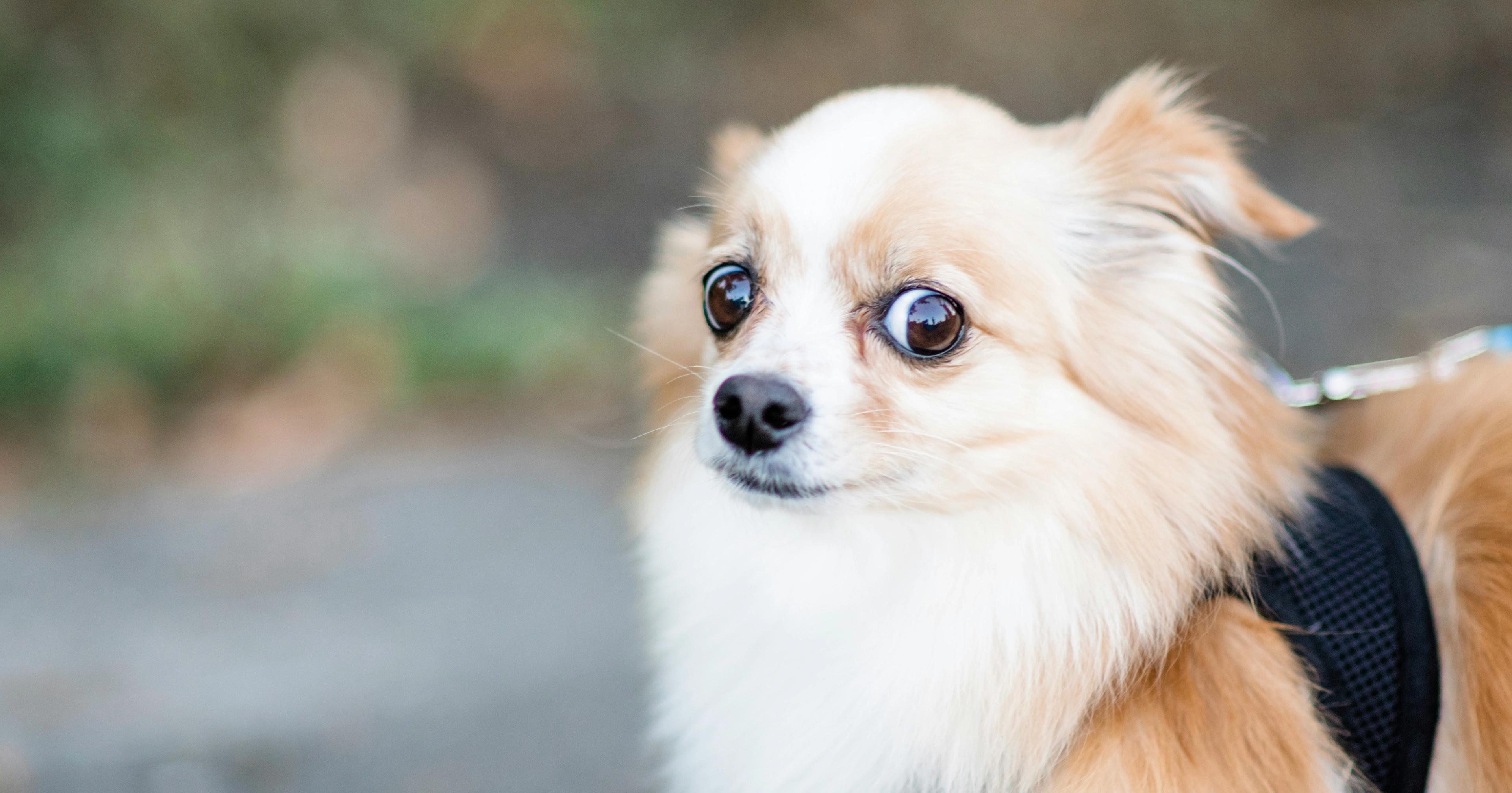 Confused by Therapy Types? Here’s What Different Modalities Mean (Without the Jargon)