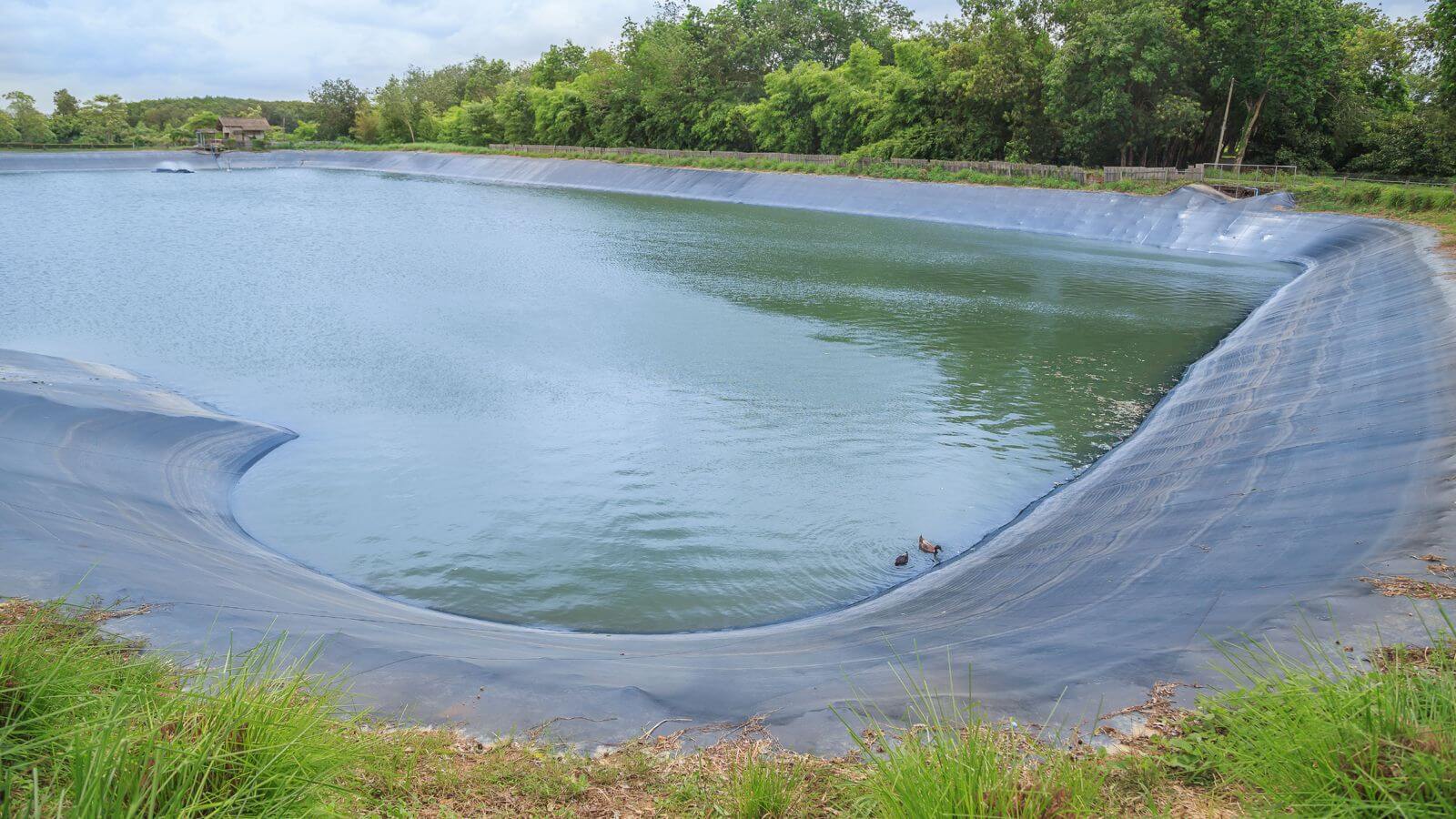 Impulsando la Infraestructura Sostenible: La Visión de Summa Projects en Grupo Summa