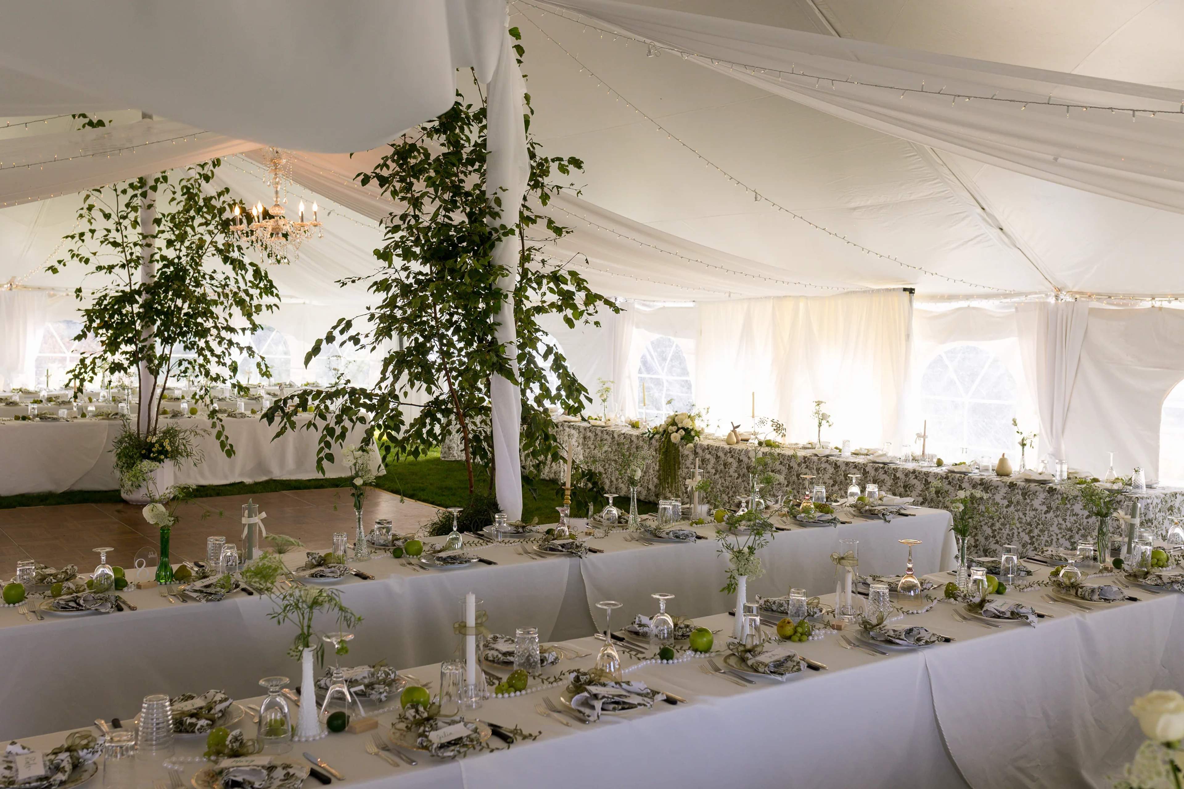 Tented reception with birch trees, a crystal chandelier and long tables dressed in white and green toile with greenery and white blooms