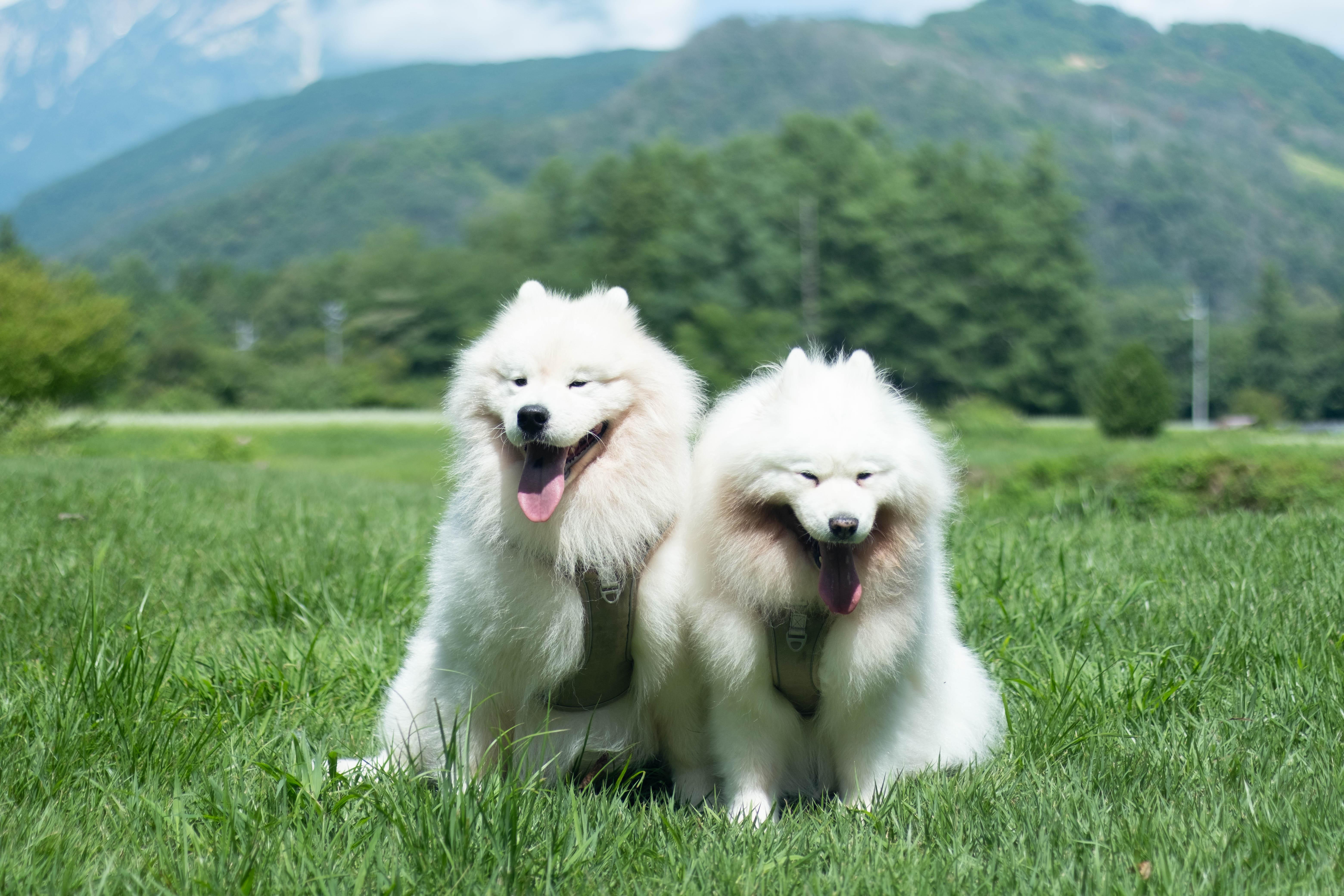 アニーズパントリー公式LINEがスタートしました！🐾