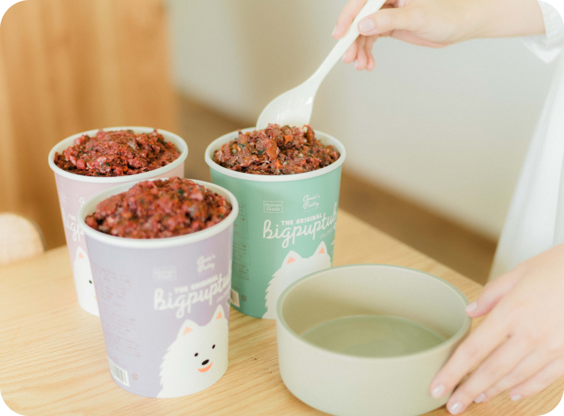 セットフードについて