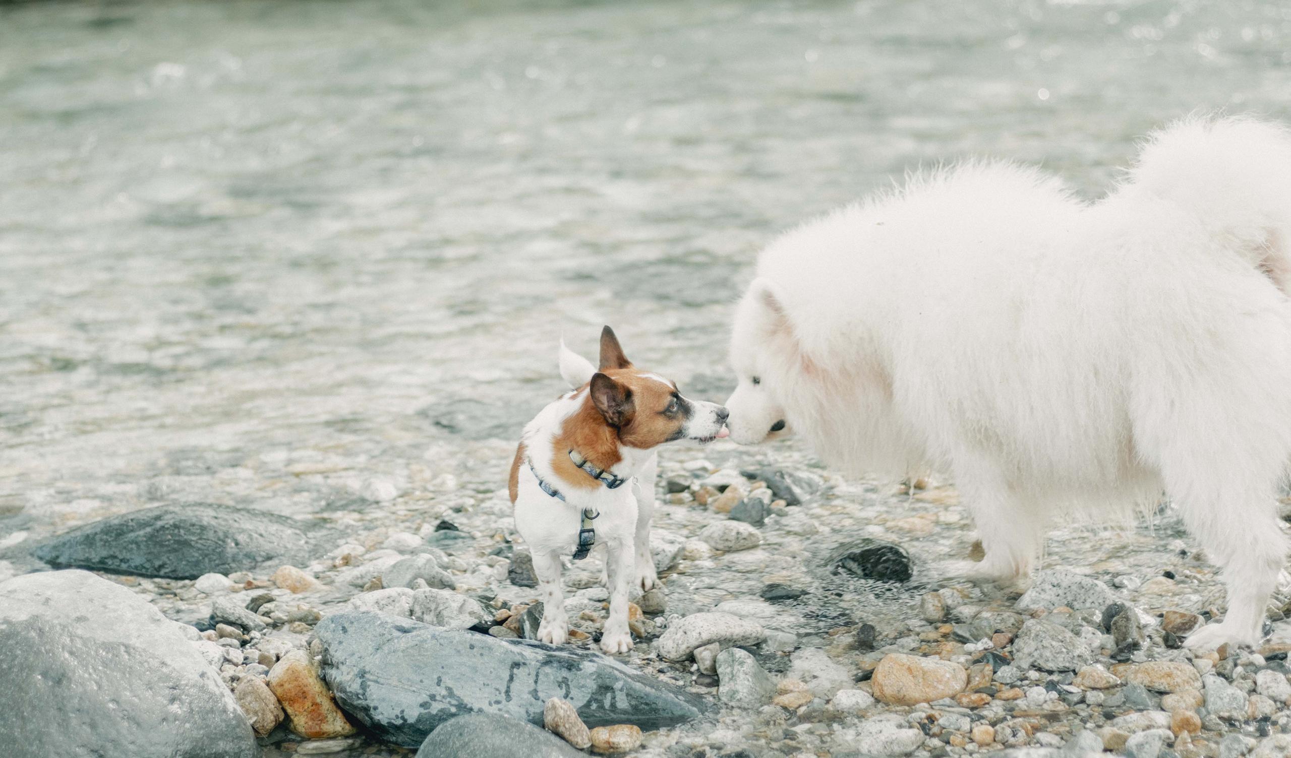 年末年始休業のお知らせ(2025年)