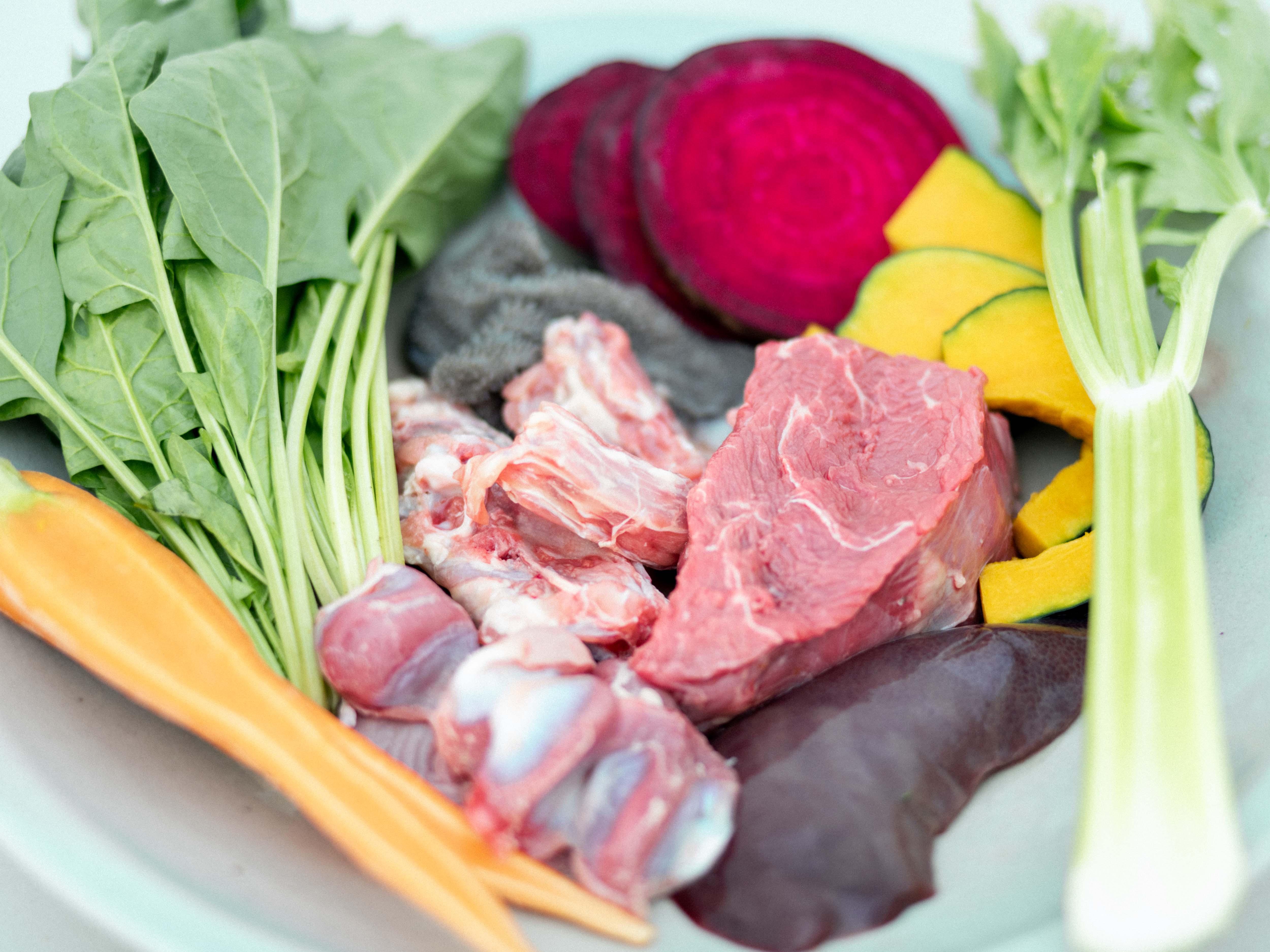 加工食品 vs 自然食品 : 愛犬の身体が本当に求めているもの