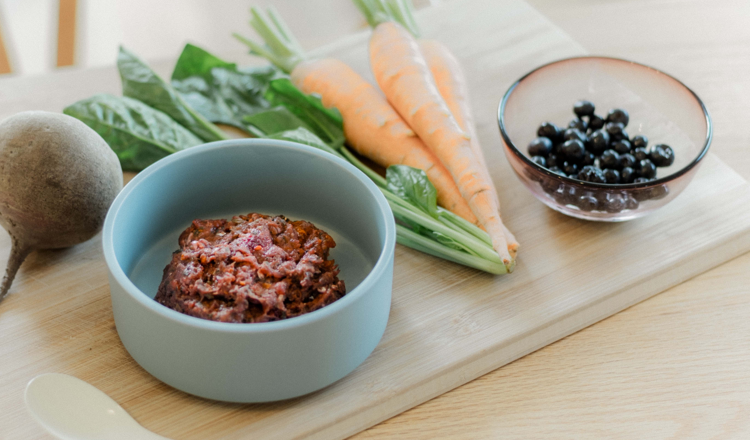 BARF食とプレイモデル生食の違い : 愛犬に最適な自然栄養法を選ぶための比較ガイド