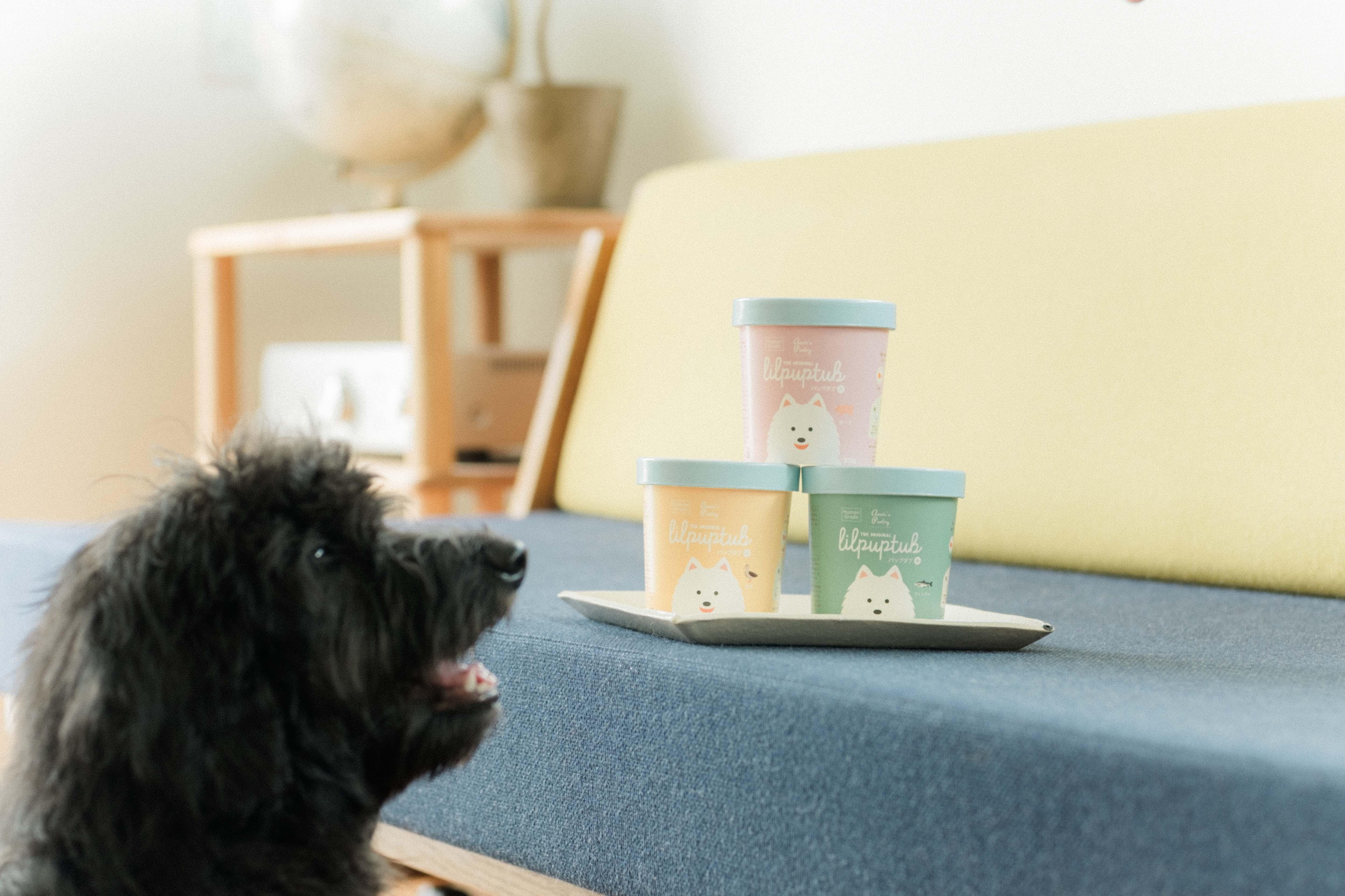 アニーズパントリーはどんなフード?専門家による愛犬レビュー