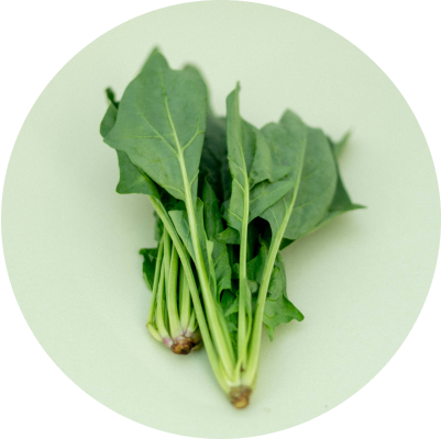 必要なものだけ無添加ごはん