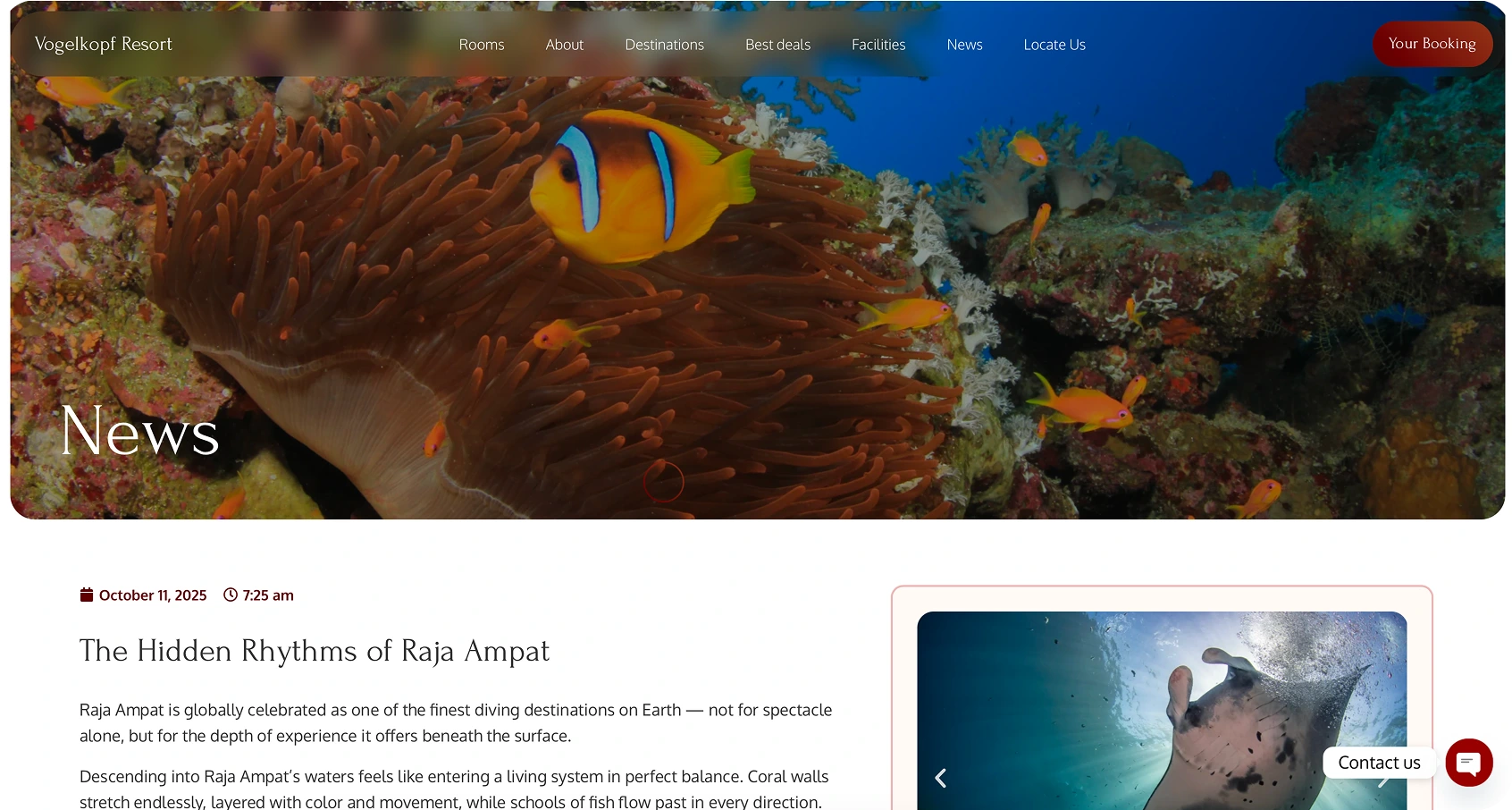 Vogelkopf Dive Resort: Rental Web Development - Image 8