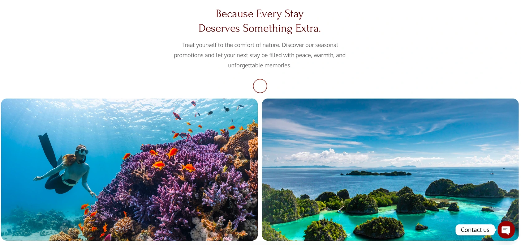 Vogelkopf Dive Resort: Rental Web Development - Image 5