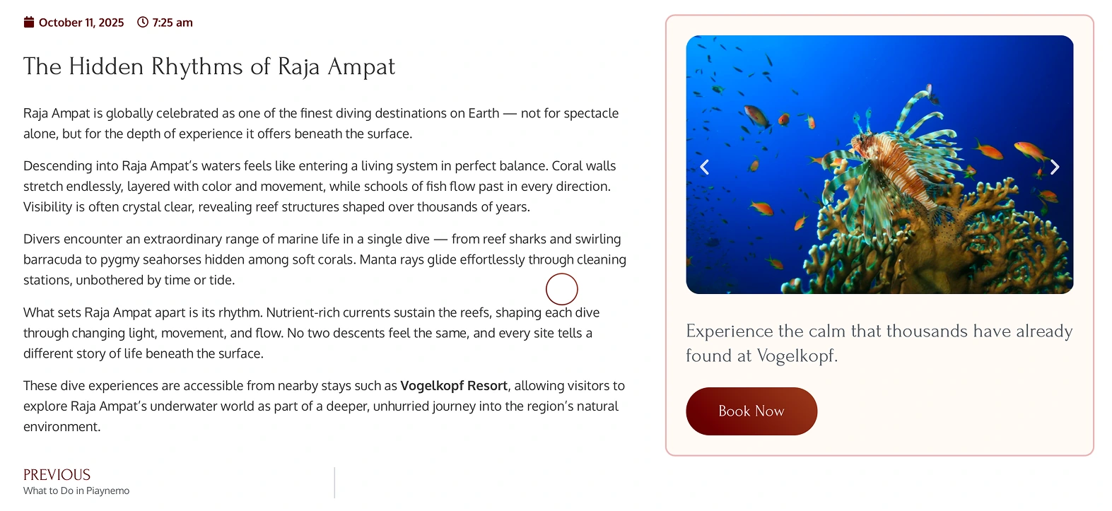 Vogelkopf Dive Resort: Rental Web Development - Image 9