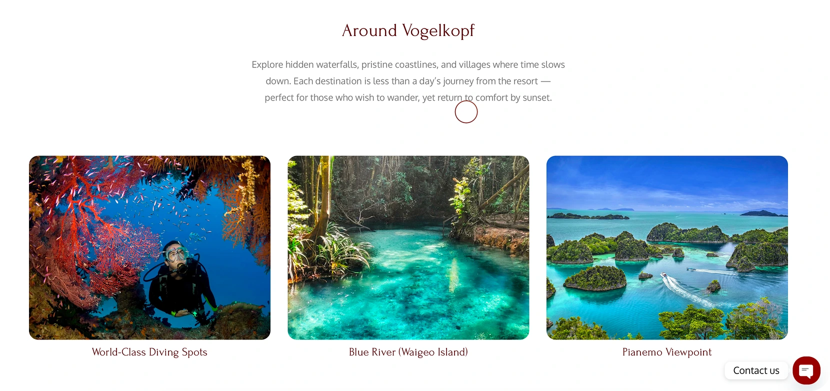 Vogelkopf Dive Resort: Rental Web Development - Image 4