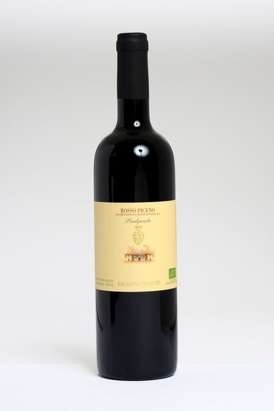 Saladino Pilastri: Rosso Piceno BIO — Rotwein aus Italien