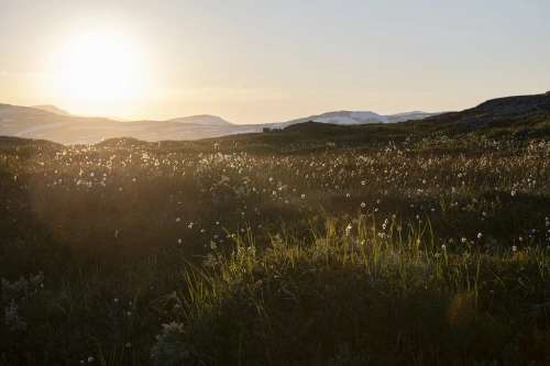 Fjellandskap, Bergensbanen