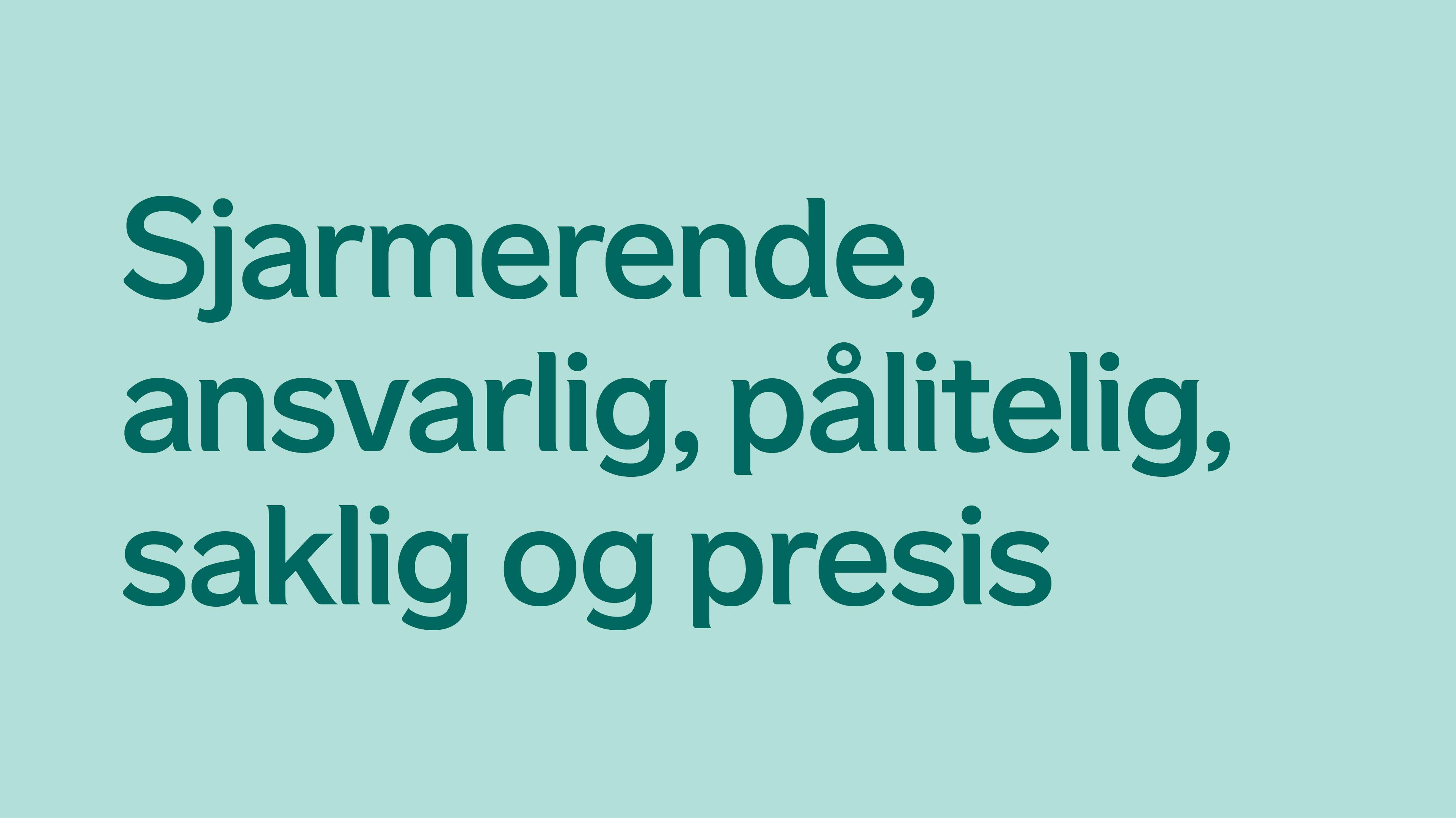 Sjarmerende, ansvarlig, pålitelig, saklig og presis