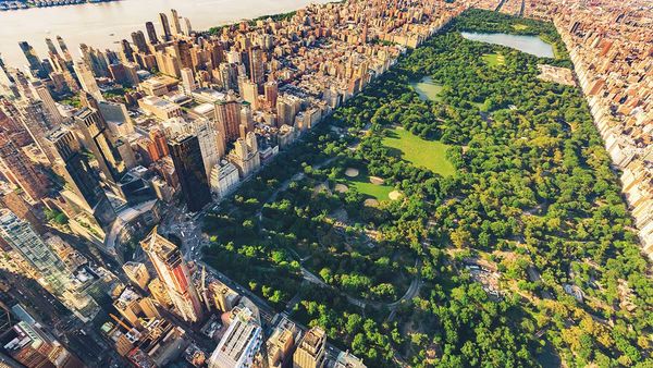 13 Best Happy Hours in Upper West Side, Manhattan
