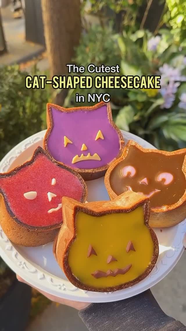 Miyomacchi: The Cutest Cat-Shaped Cheesecake in NYC