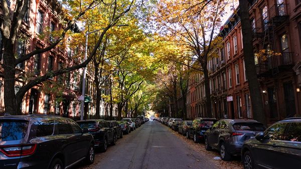 13 Best Happy Hours in Park Slope, Brooklyn