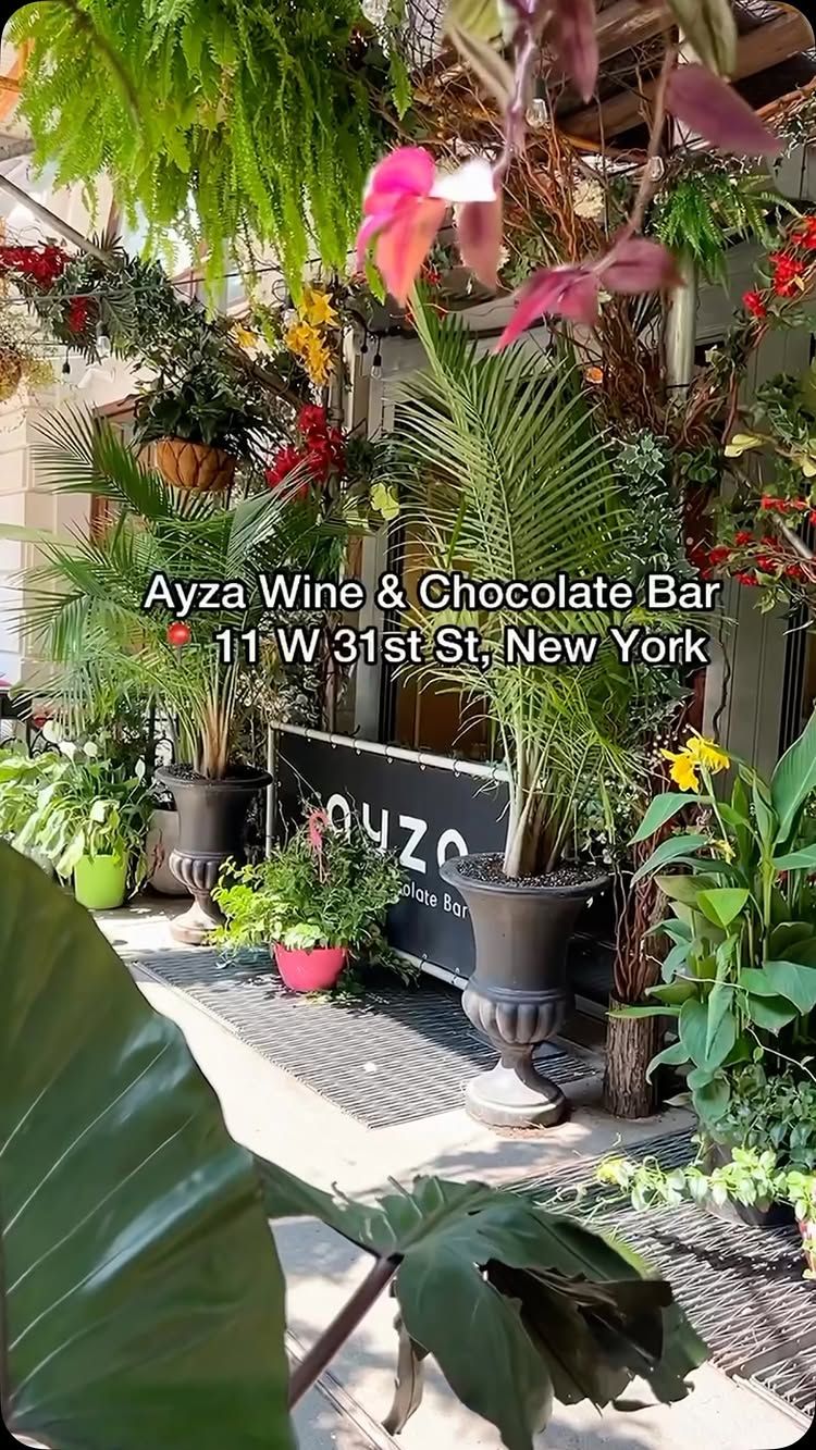 Ayza Wine & Chocolate Bar: Trolley in the Heart of Manhattan