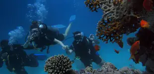 Corsi di subacquea (ARA)