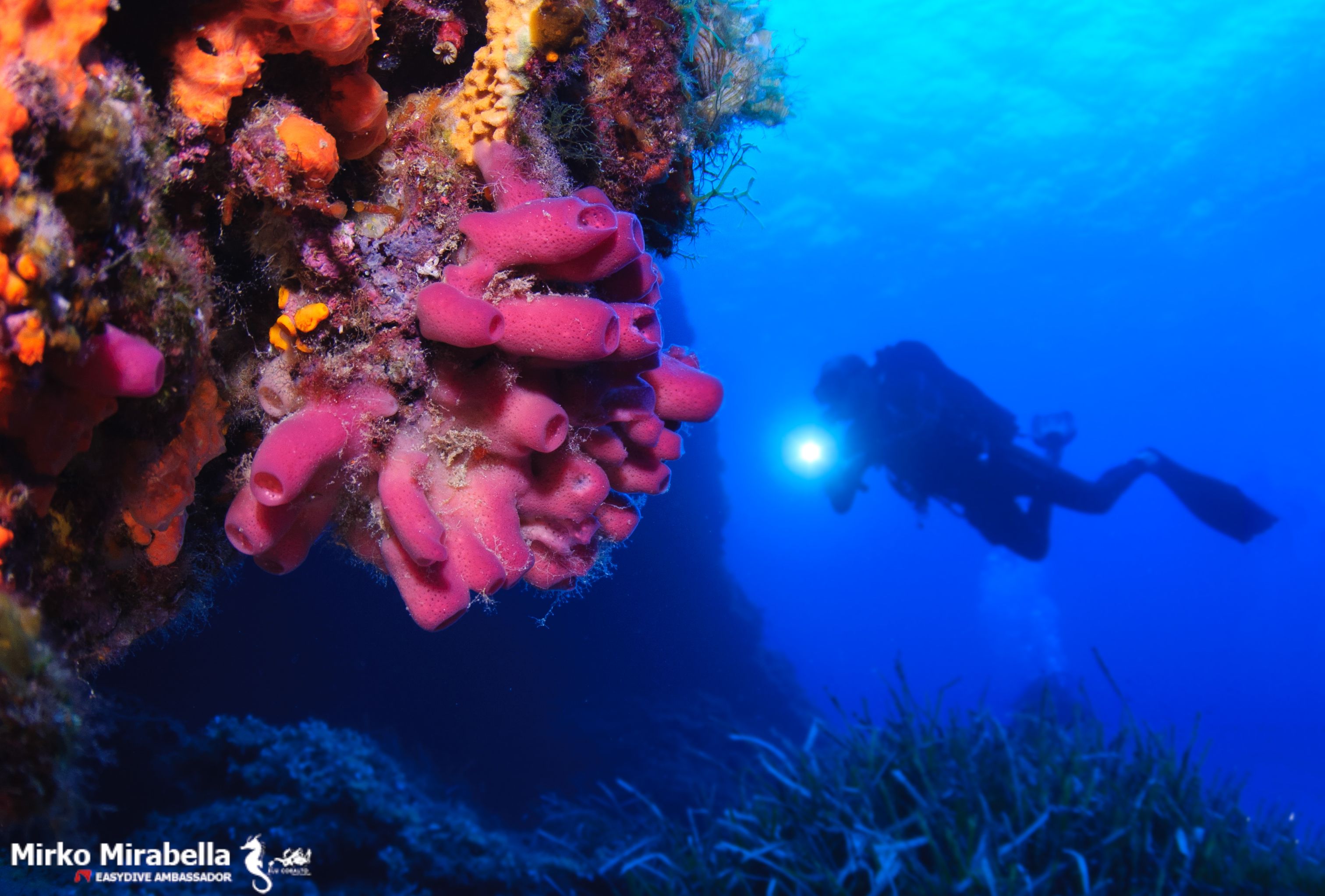 Home – immagine di sfondo 3