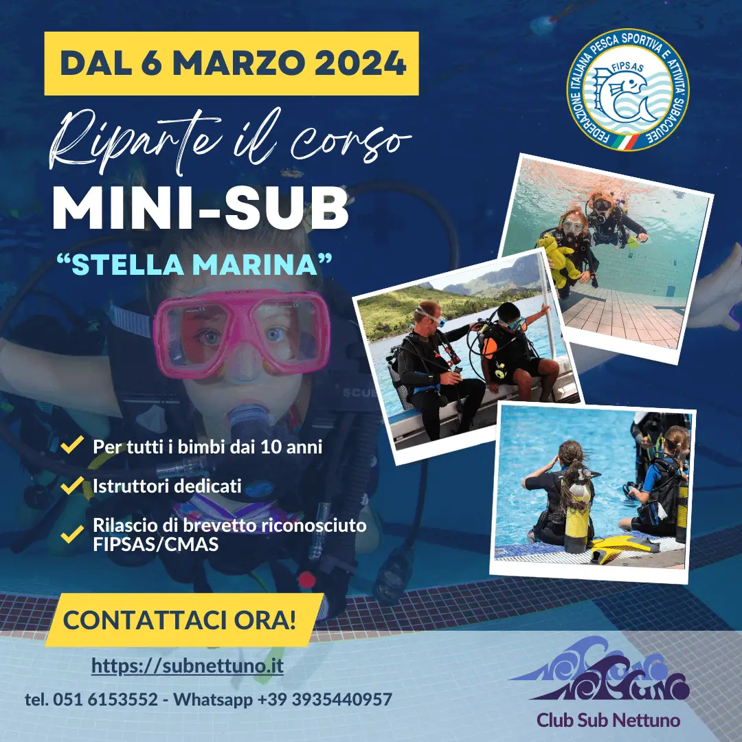 Immagine in evidenza: Riparte il corso Mini Sub