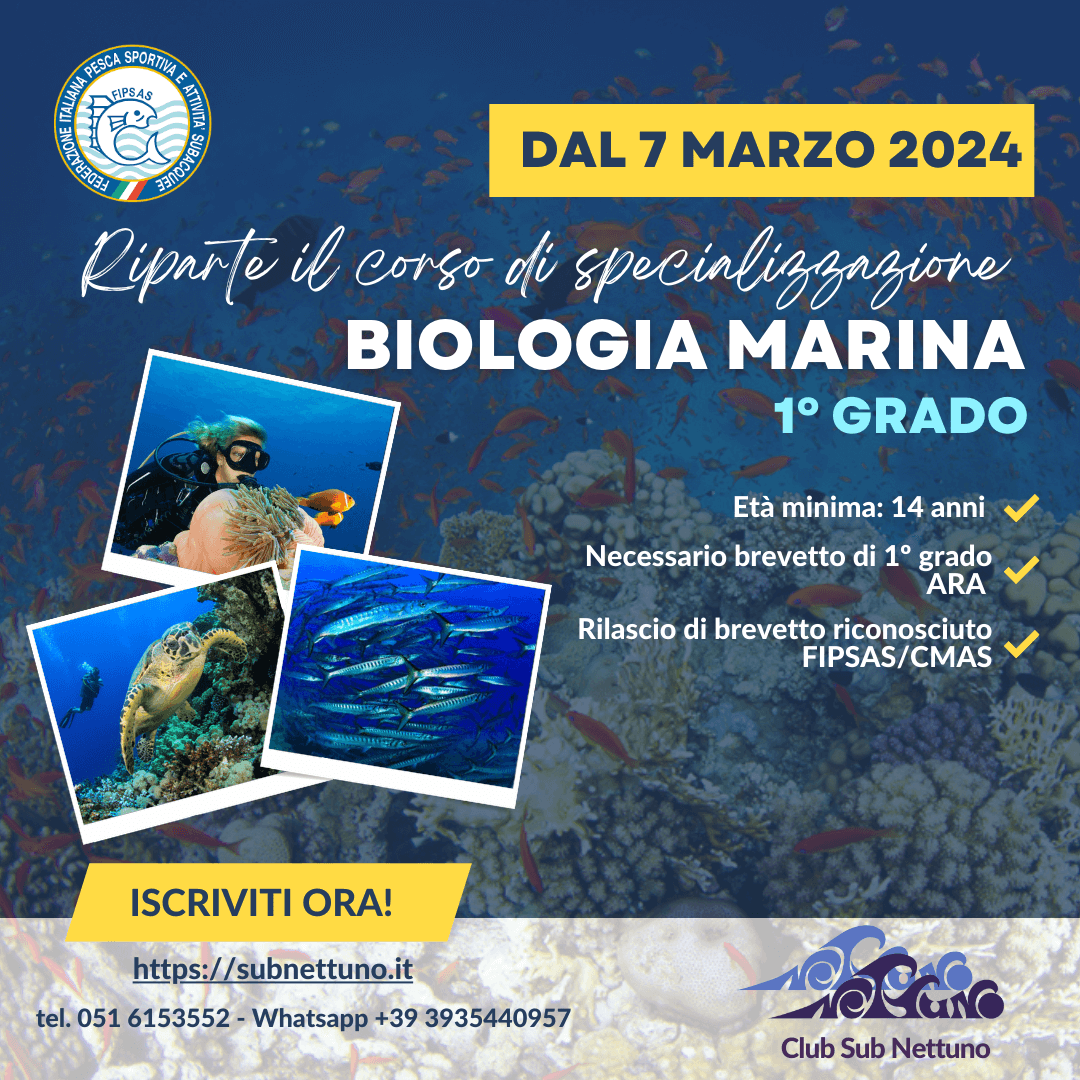 Corso di Biologia Marina – sfondo